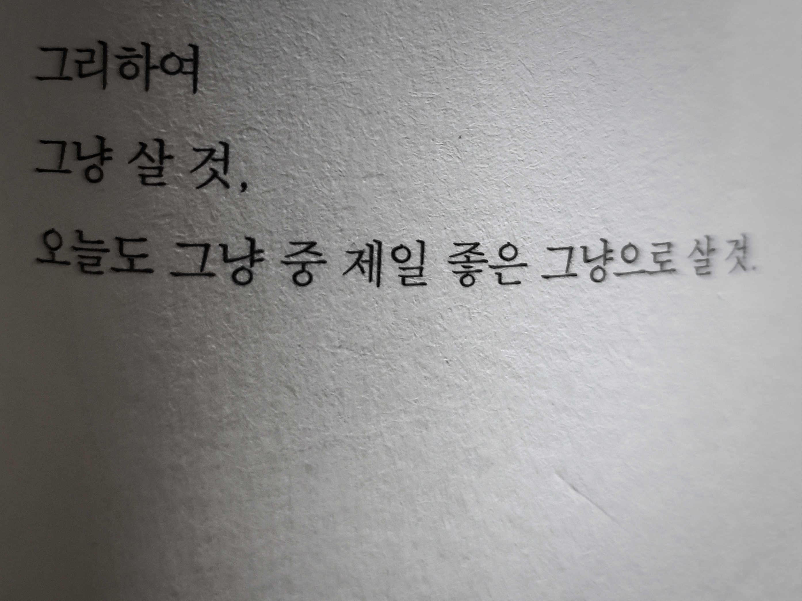 보통의 별일 없는,    지루한 행복.님의 스타일