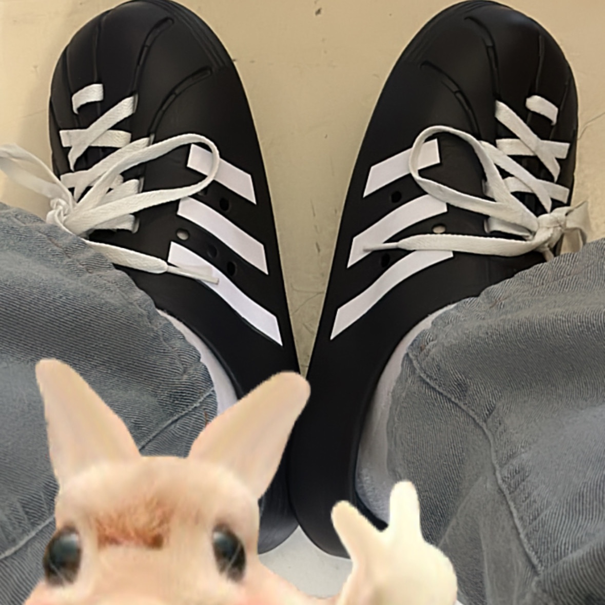 Adidas Adilette Clog Black White 착용 스타일