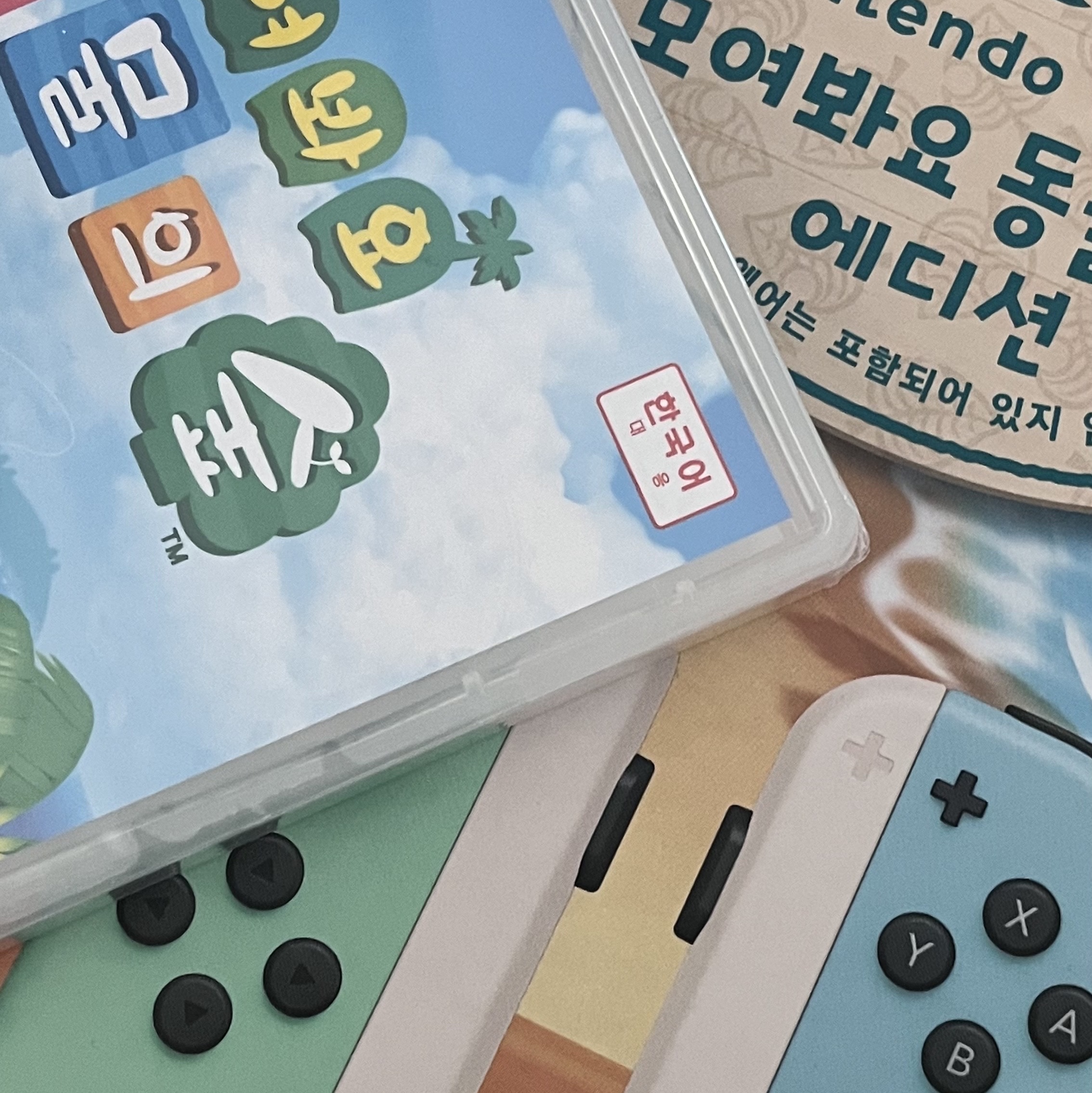 Nintendo Switch Animal Crossing Edition (Korean Ver.) 착용 스타일