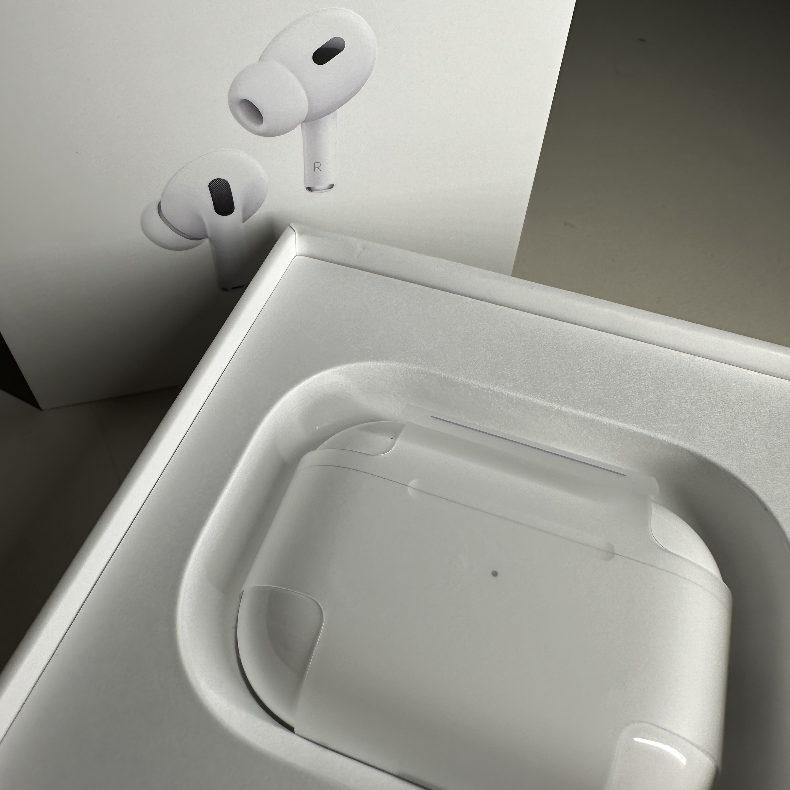 Apple AirPods Pro 2nd Gen (Korean Ver.) 착용 스타일