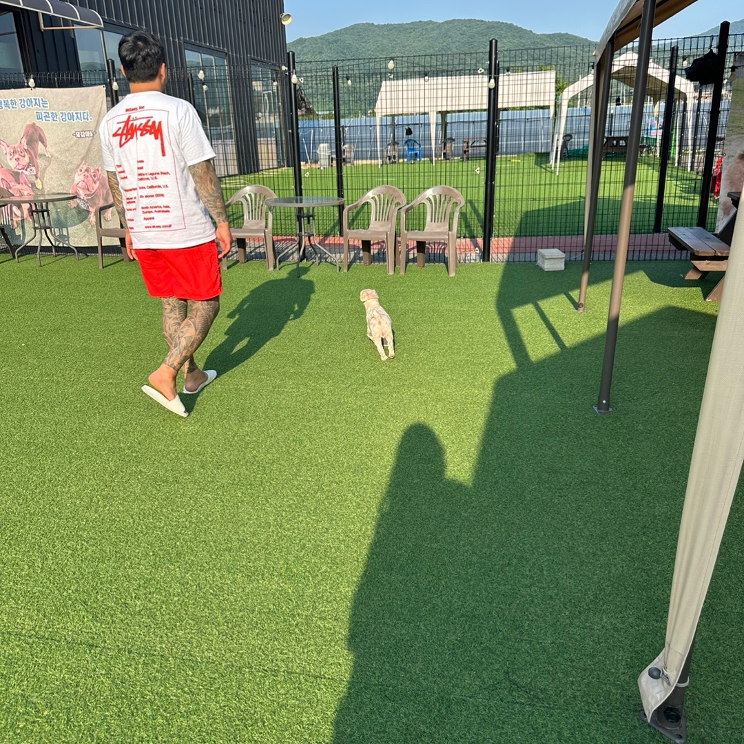 Stussy Wiki T-Shirt White, Stussy Stock Water Shorts Bright Red 착용 스타일