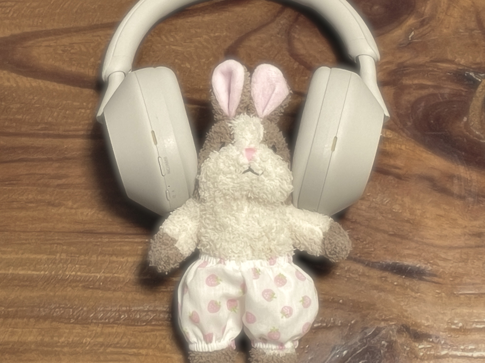 Sony WH-1000XM5 Silver (Korean Ver.) 착용 스타일