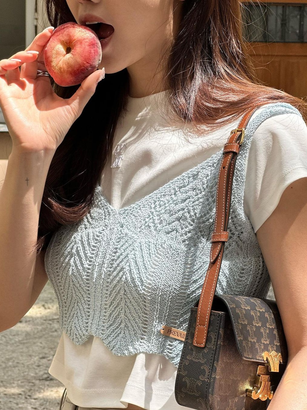 Celine Shoulder Bag Claude in Triomphe Canvas Calfskin Tan 착용 스타일