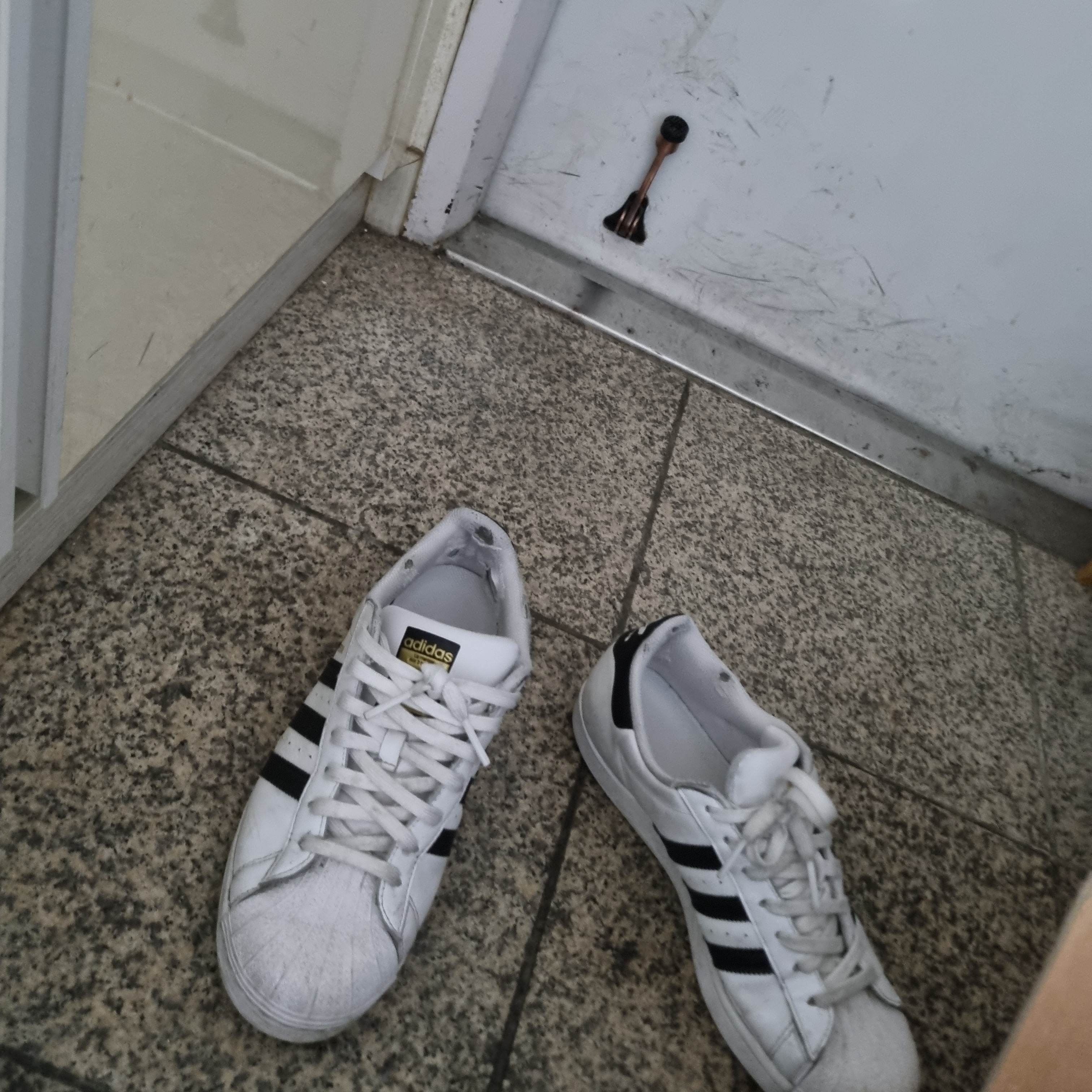 Adidas Superstar White Black 착용 스타일