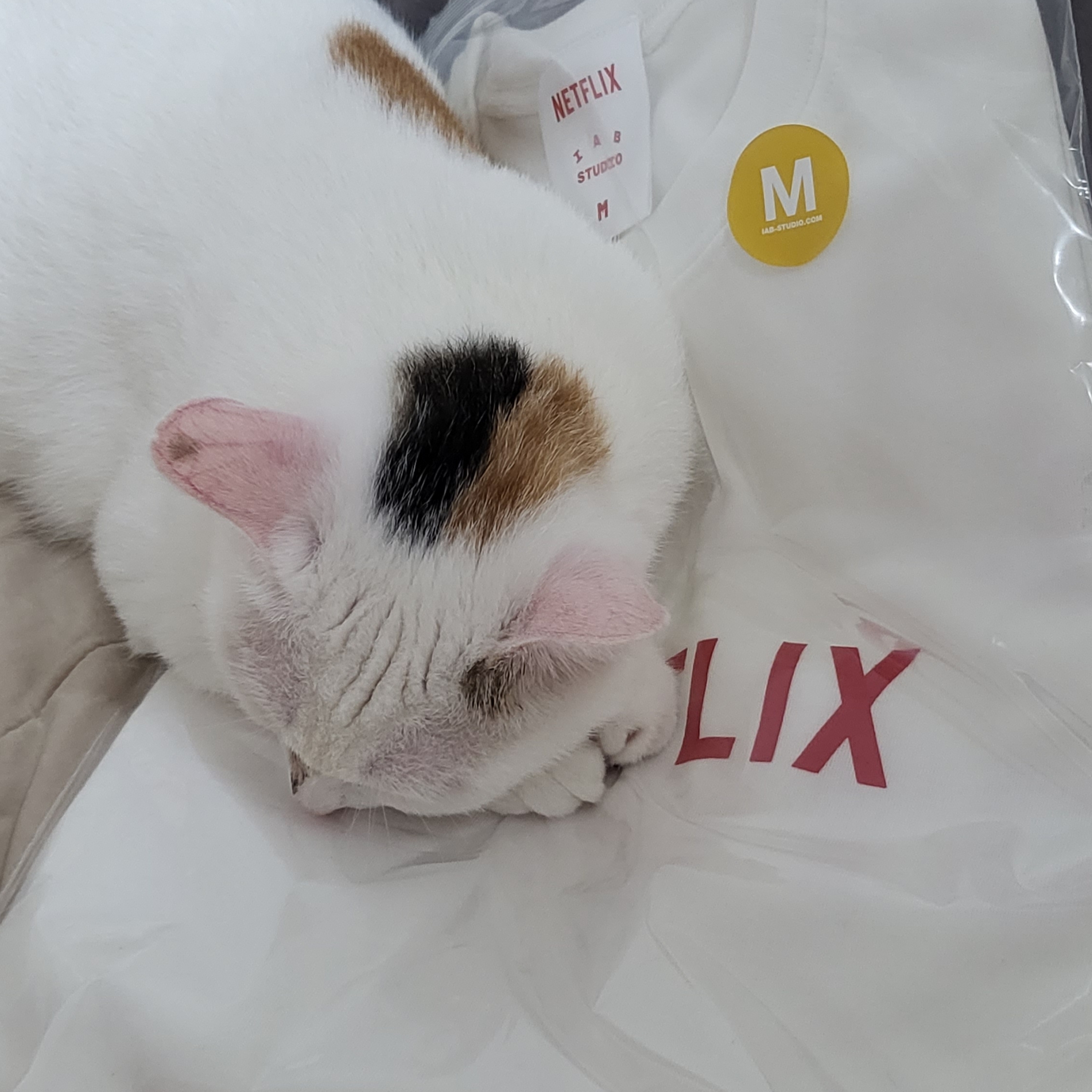 IAB Studio x Netflix SS T-Shirt White 착용 스타일