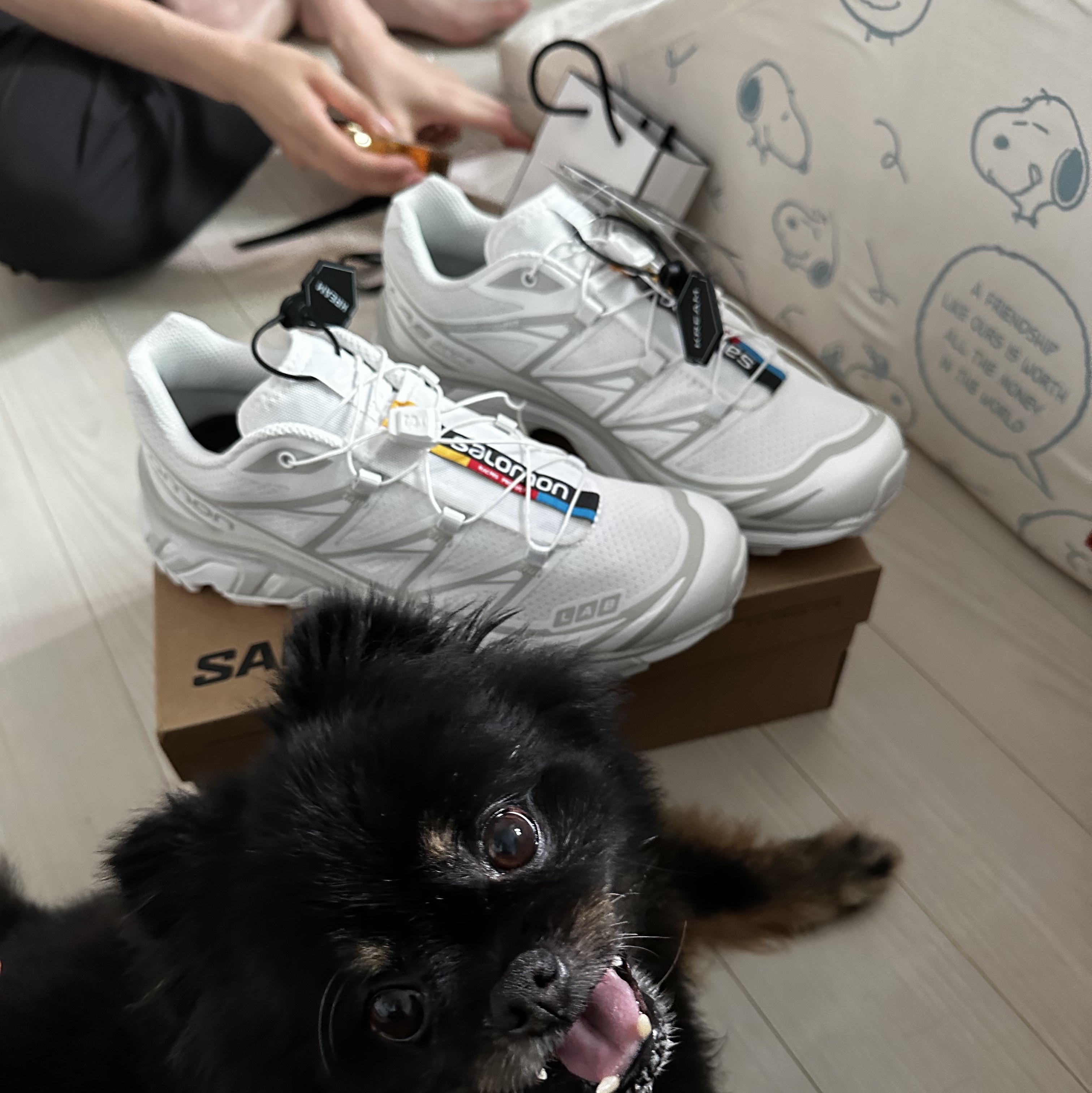 Salomon XT-6 ADV White 착용 스타일