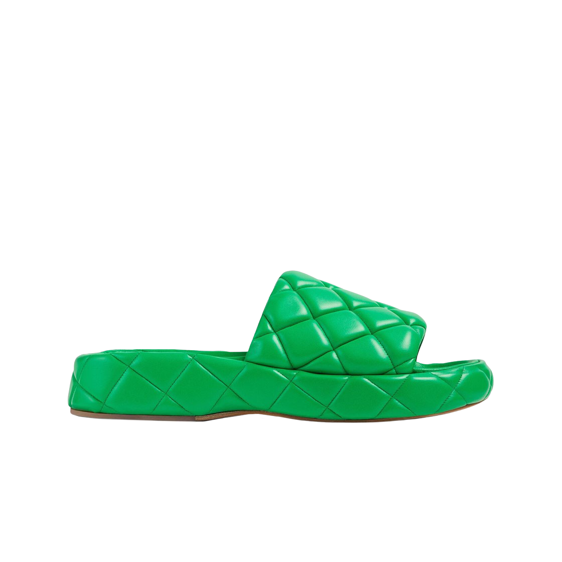 보테가 베네타 패딩 패러킷(Bottega Veneta Padded Parakeet) - 1