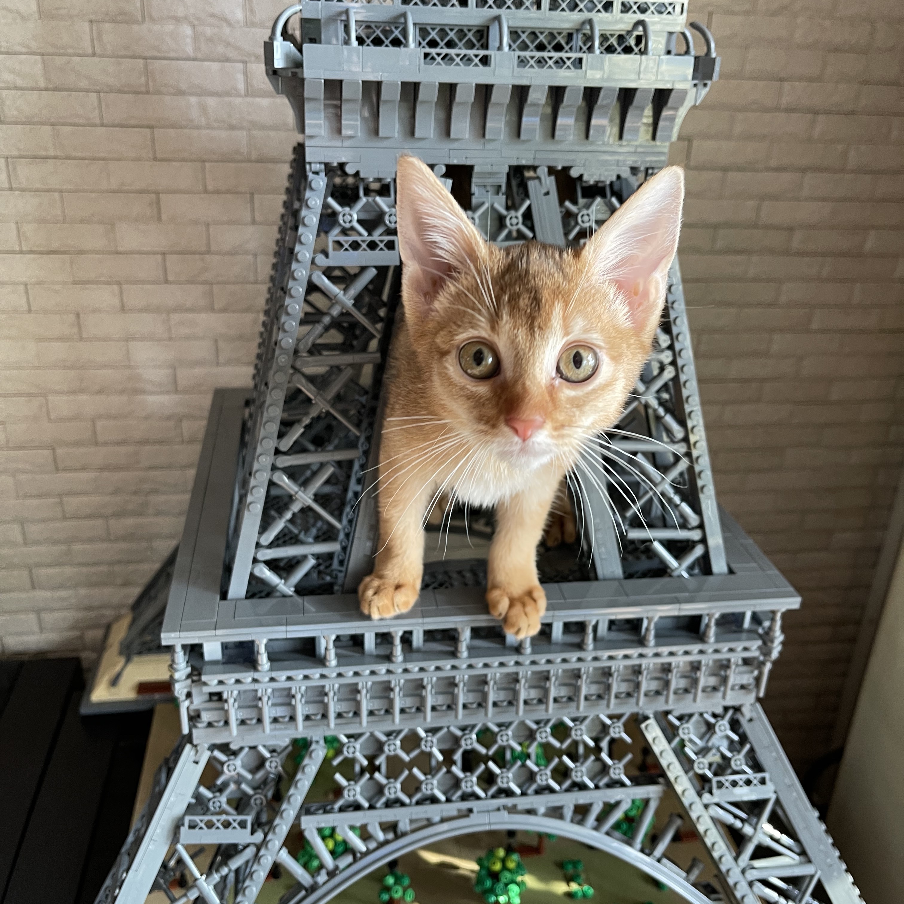 Lego The Eiffel Tower 착용 스타일 - 3
