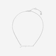 Jacquemus La Chaine Signature Logo Chain Necklace Silver