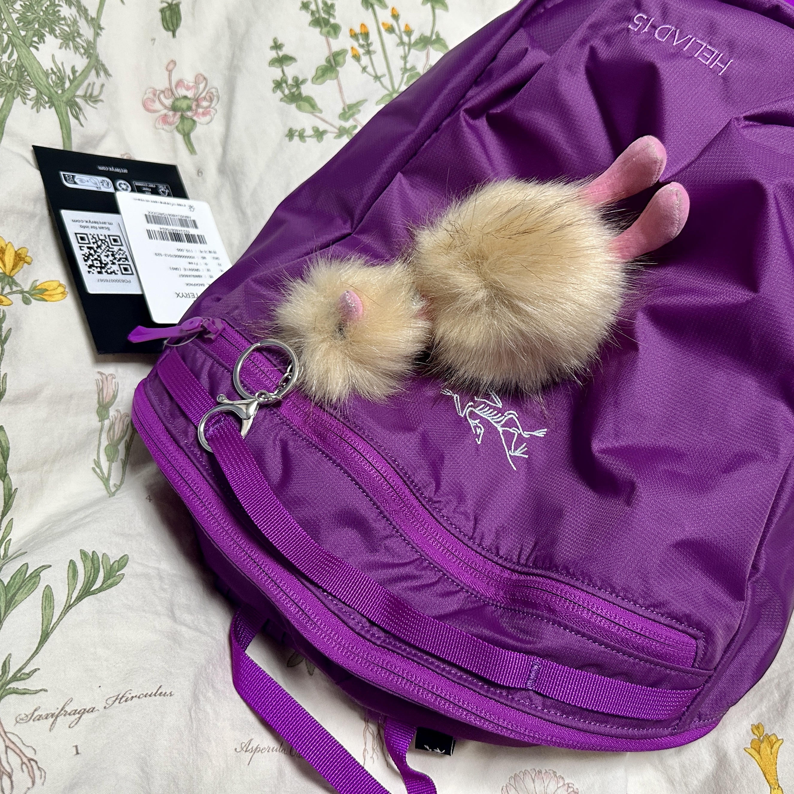 Arc'teryx Heliad 15 Backpack Groovie 착용 스타일