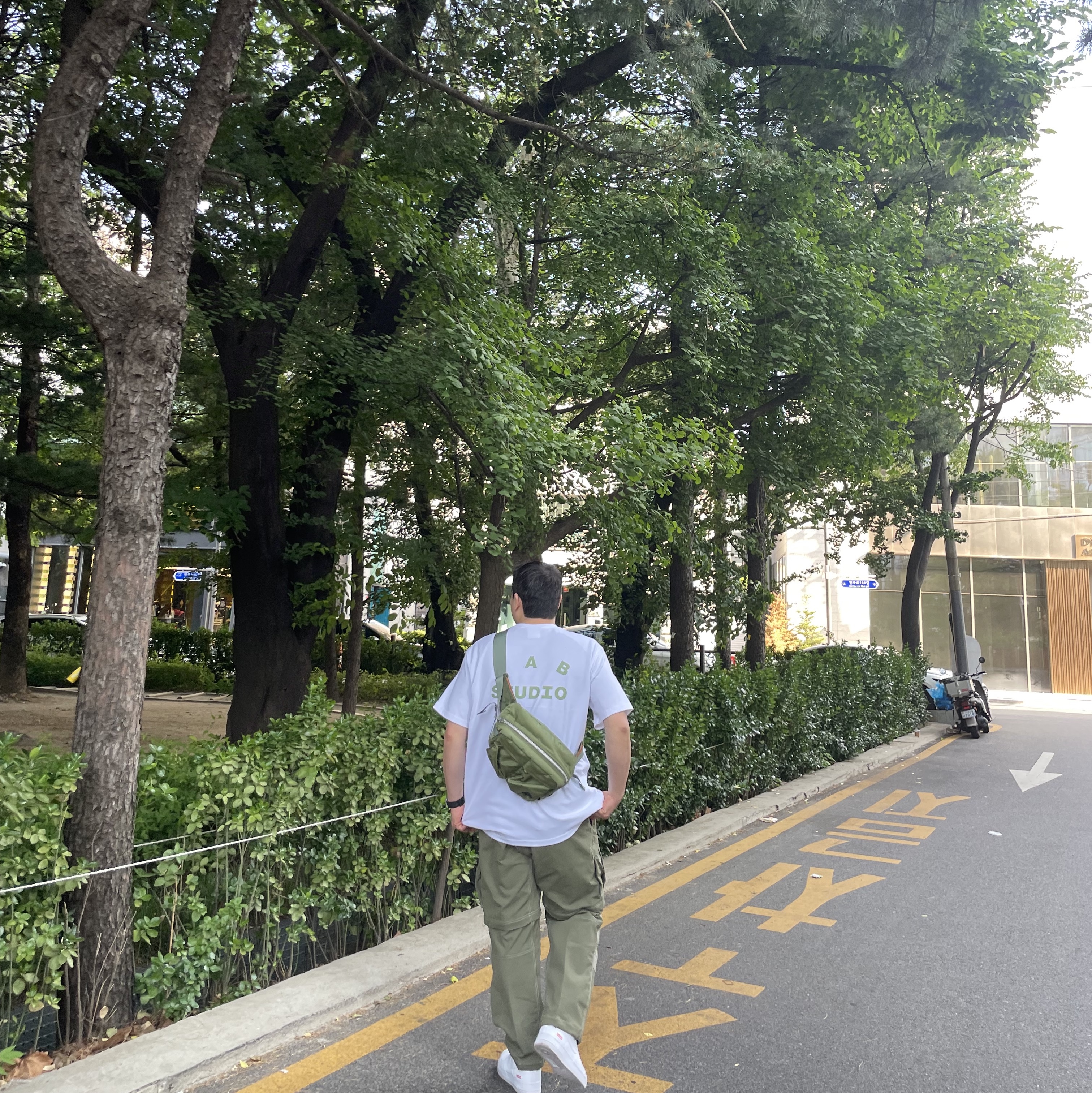 Nike ACG Smith Summit Cargo Pants Medium Olive - Asia, IAB Studio T-Shirt White Light Green 착용 스타일 - 1
