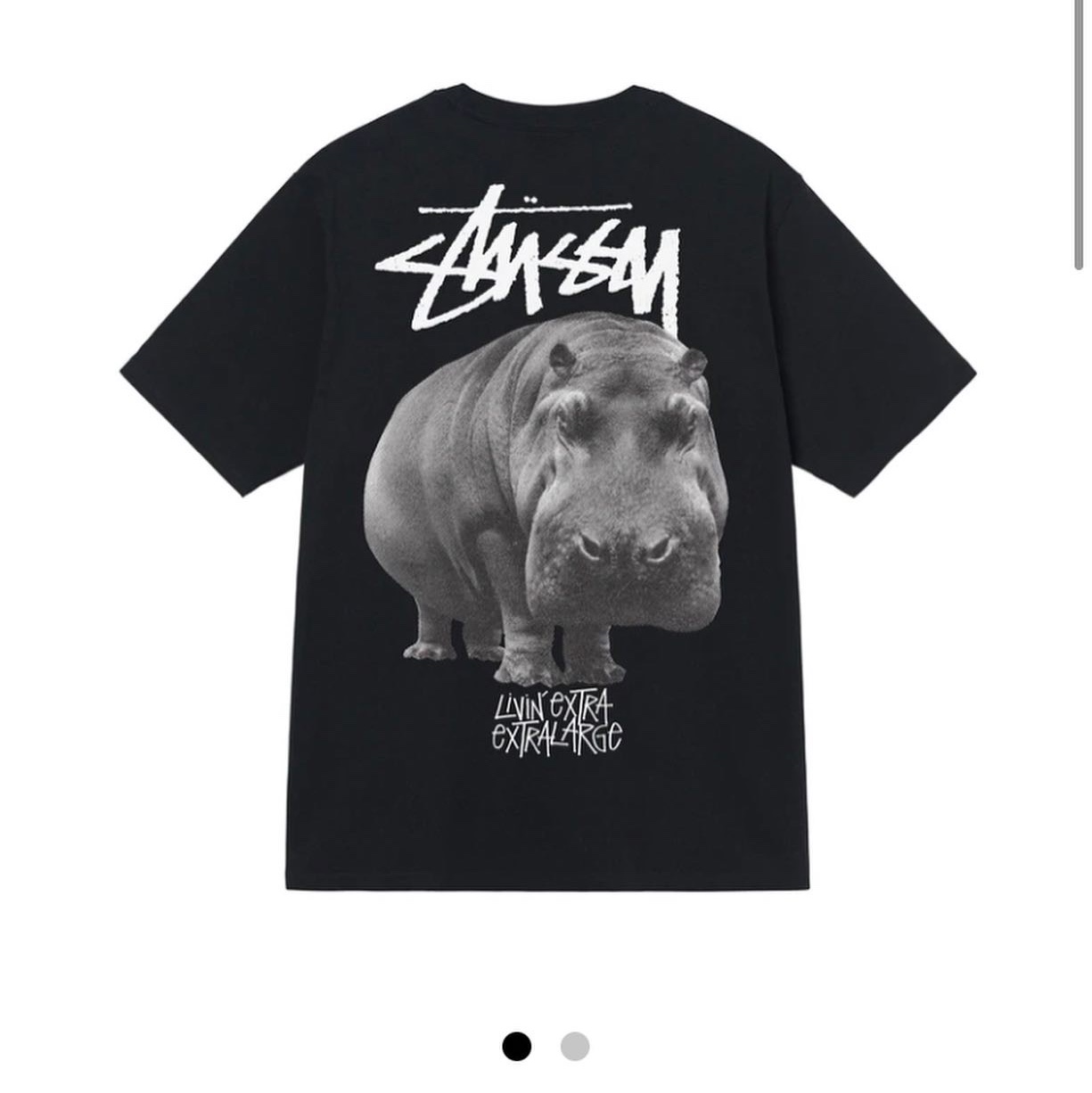 Stussy Livin' Large T-Shirt Black 착용 스타일 - 5