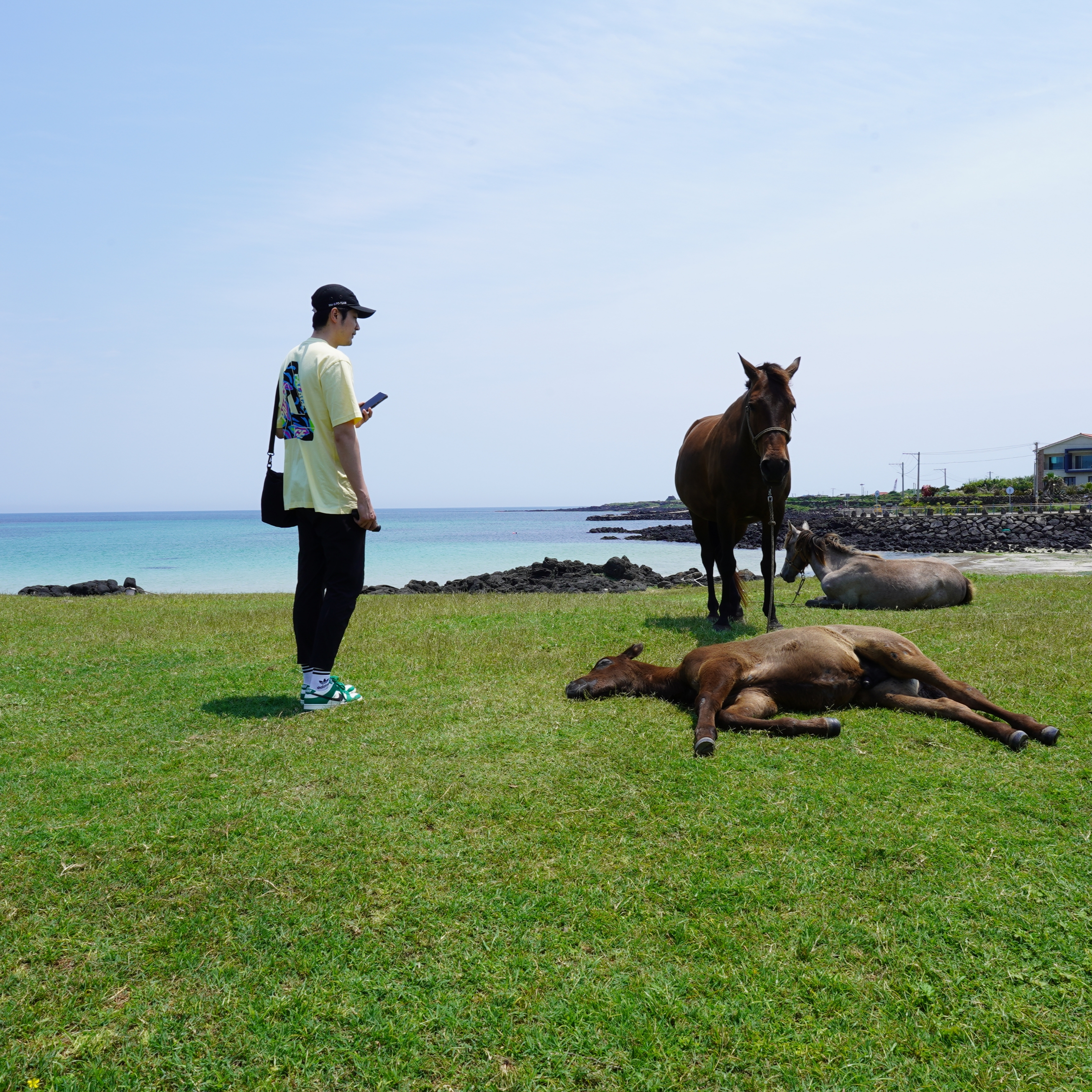 Palace Jungle Camo Tri-Ferg T-Shirt Mellow Yellow - 23SS 착용 스타일 - 2
