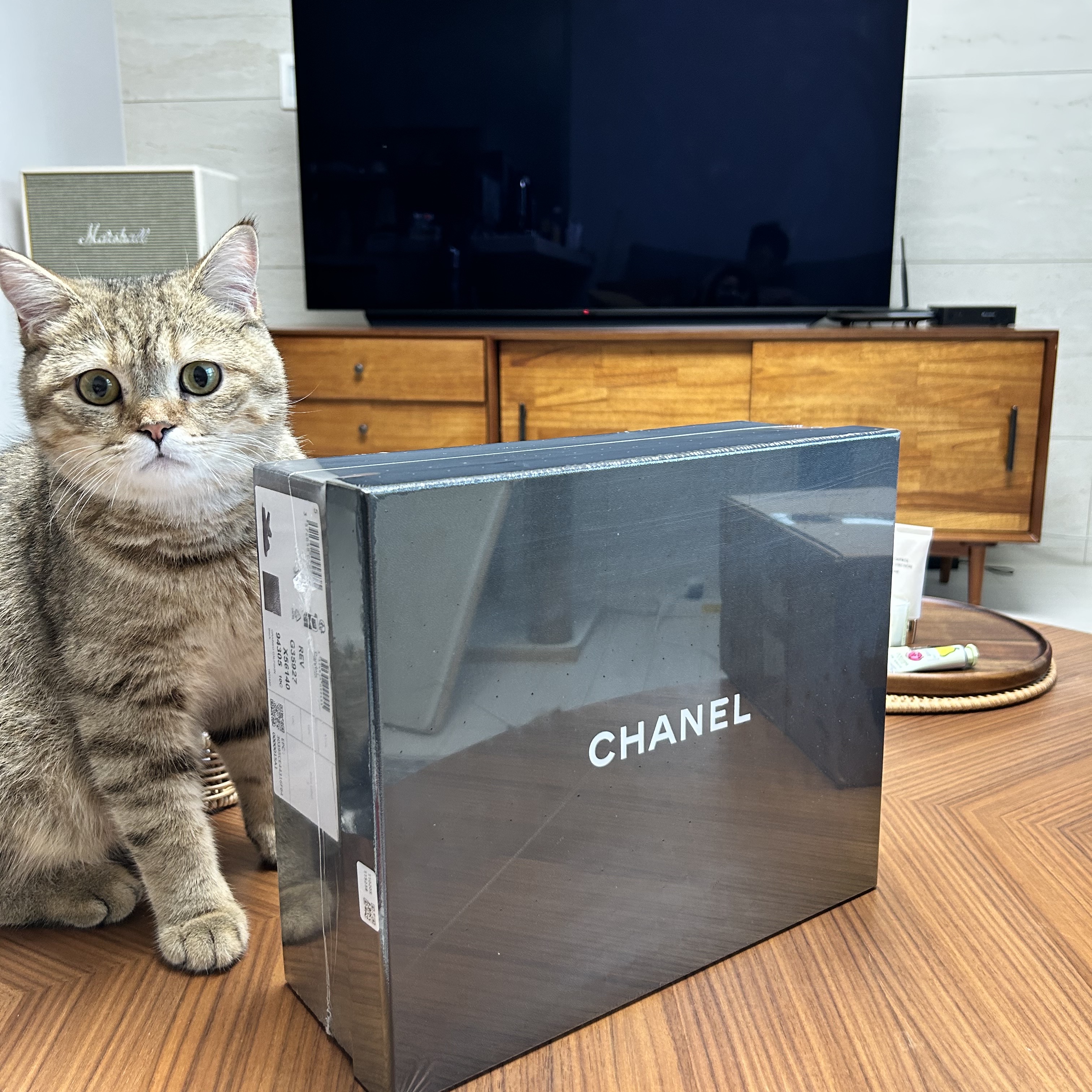 (W) Chanel Sandals Grained Calfskin & Black 착용 스타일 - 1