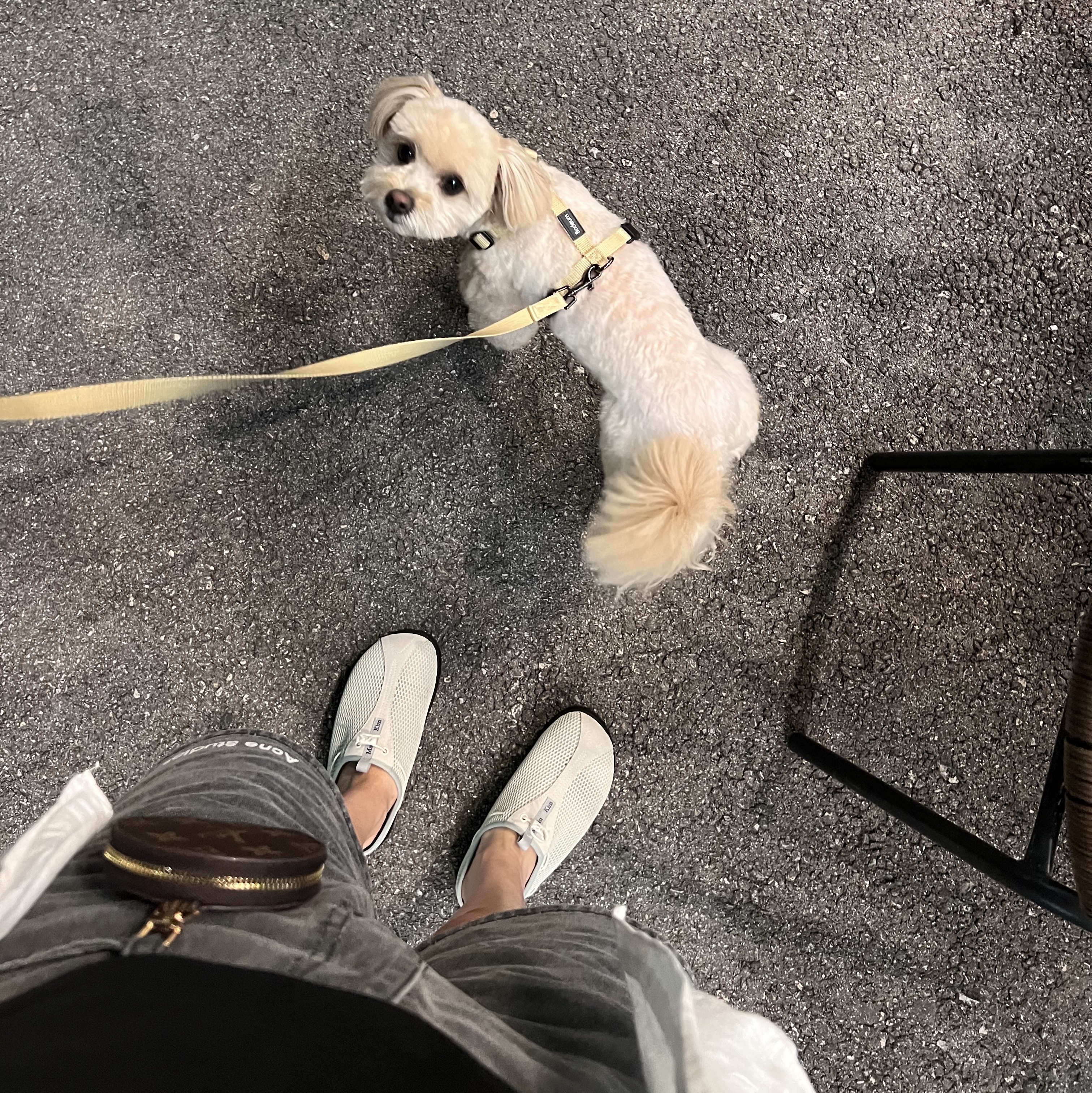 (W) Matin Kim Mesh Round Bloafer Light Khaki 착용 스타일 - 2