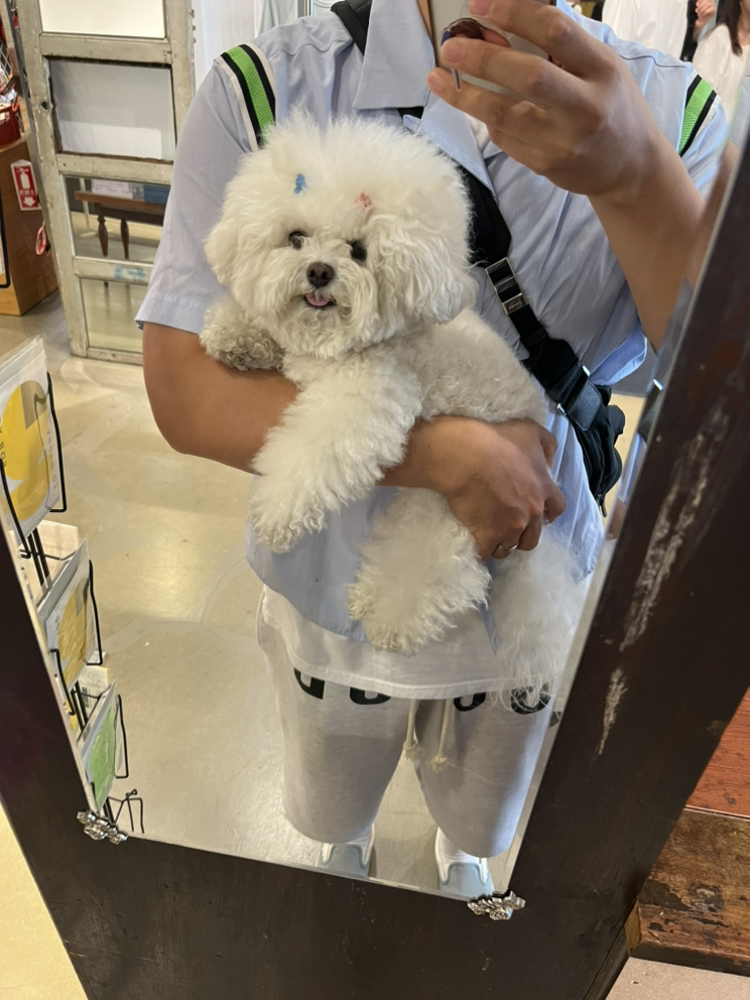 KREAM 프로필 이미지