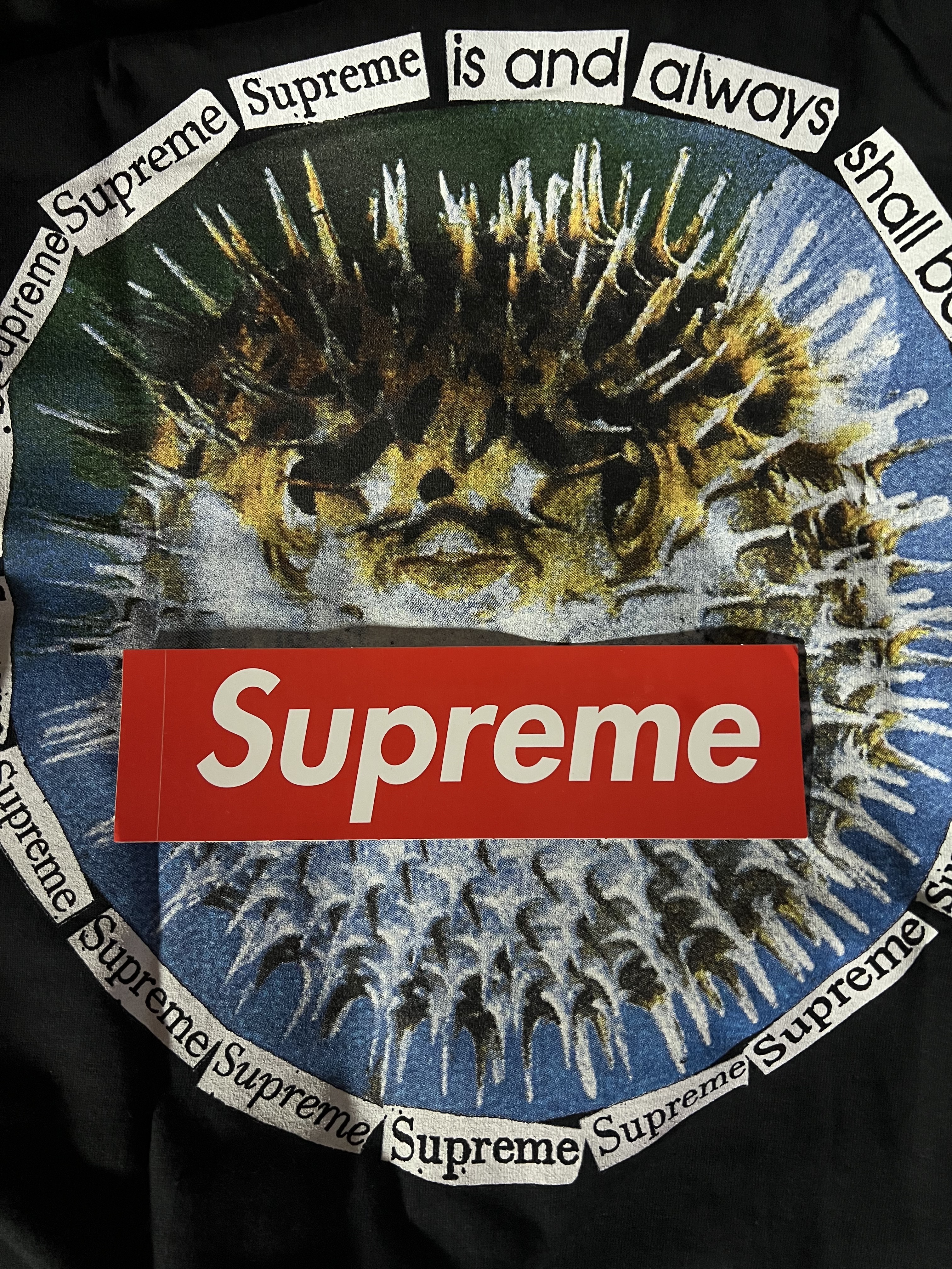 Supreme Blowfish T-Shirt Black - 23SS 착용 스타일