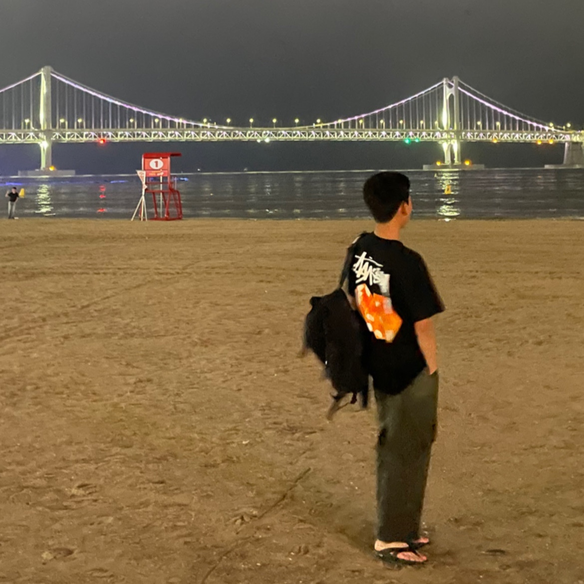 Stussy Diced Out T-Shirt Black 착용 스타일