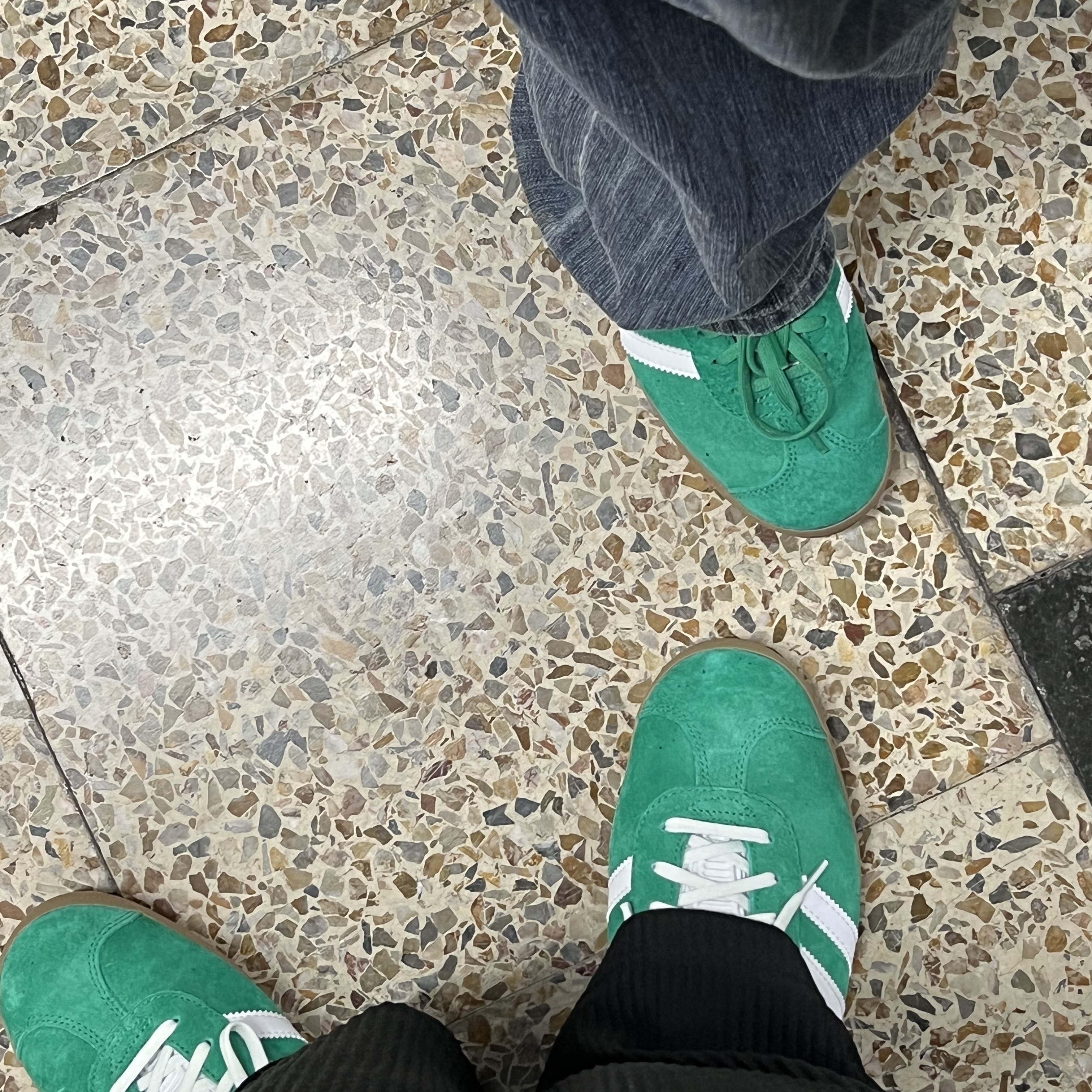 Adidas Gazelle Court Green Cloud White 착용 스타일