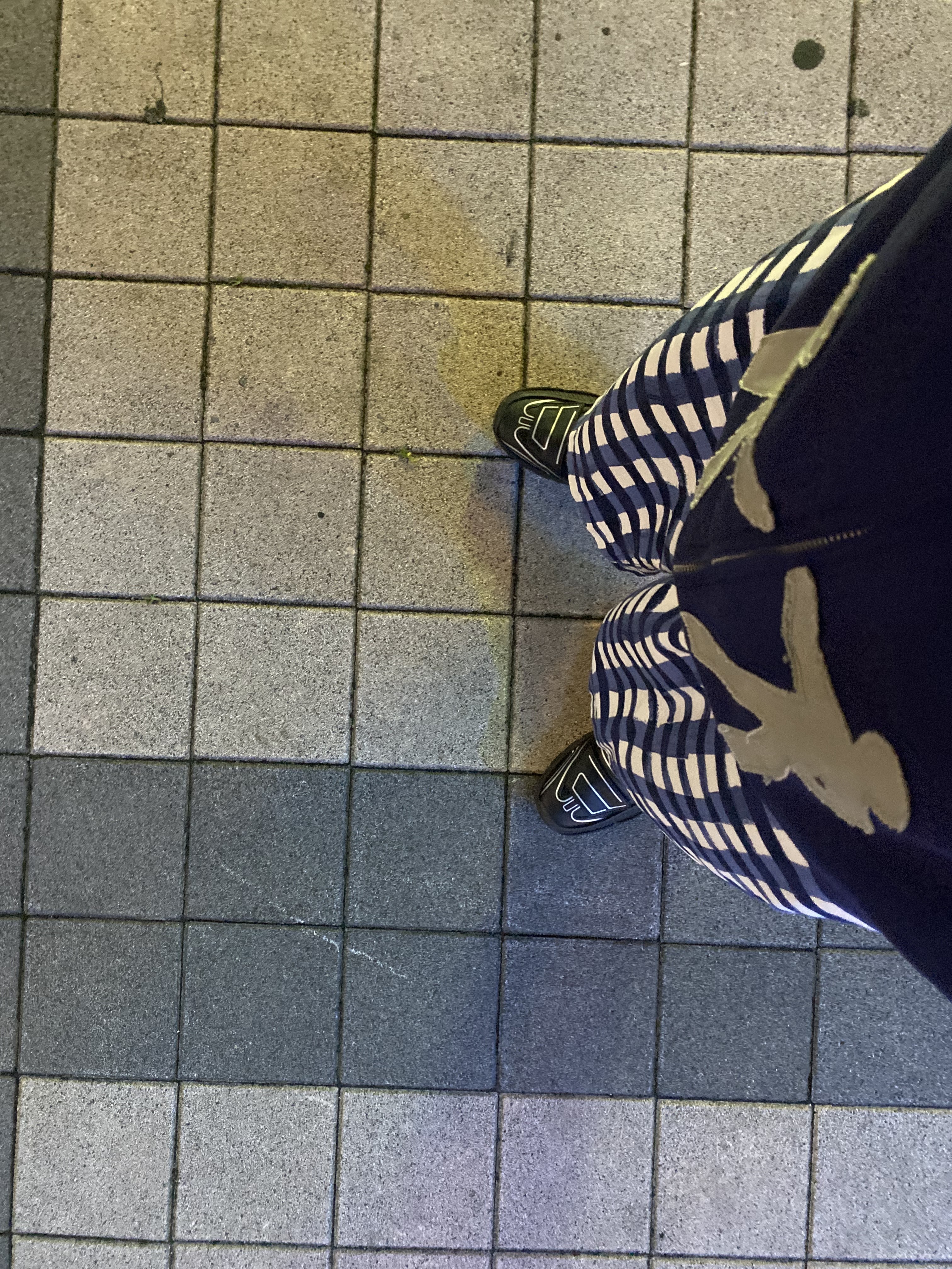 Uniqlo x Marni Wide Fit Boxy Short Pants Pattern Blue 착용 스타일 - 3