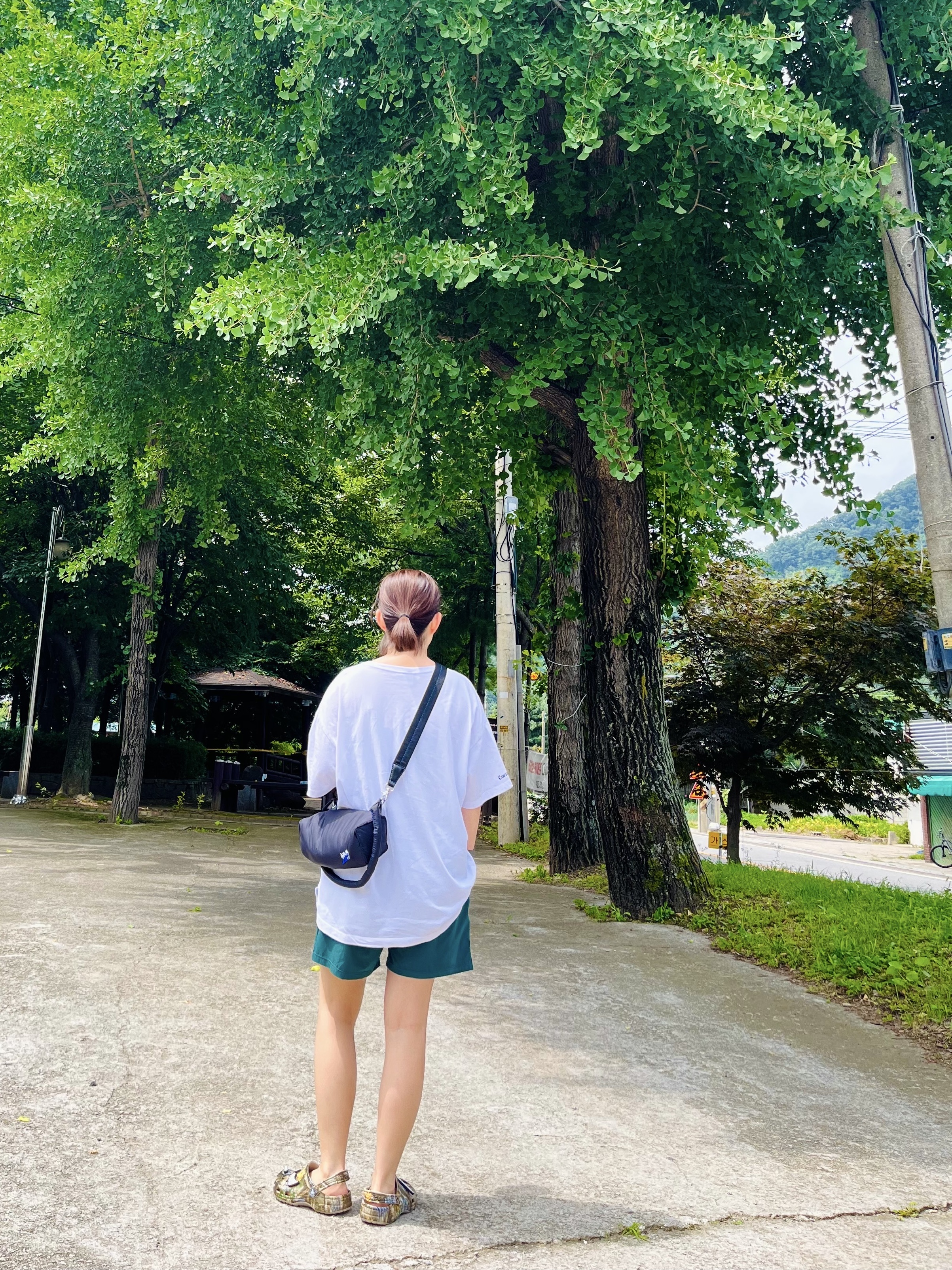 Ader Error x Zara Shoulder Bag Black, Crocs x Thisisneverthat Classic Clog Walnut 착용 스타일