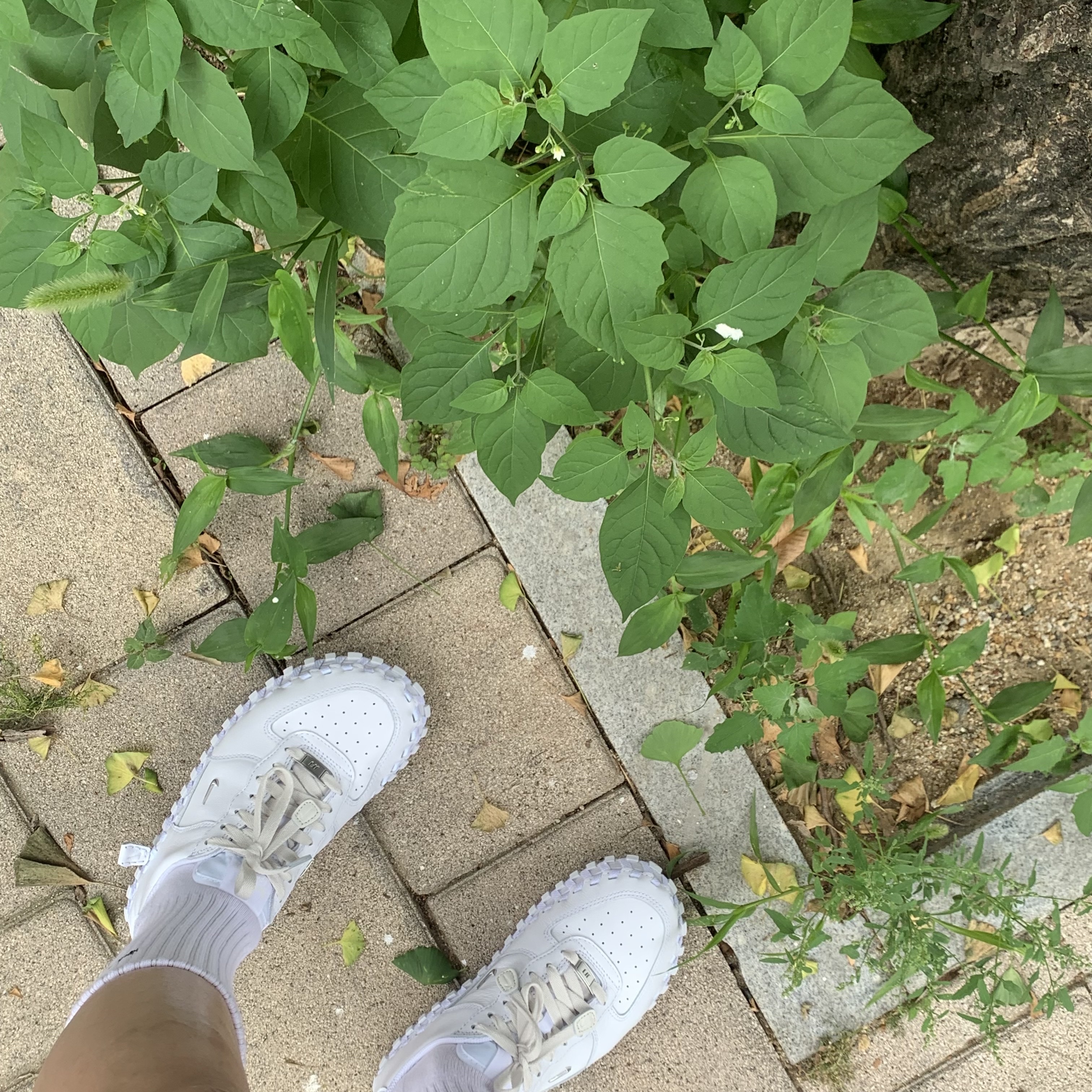 Nike x Jacquemus J Force 1 Low LX SP White 착용 스타일