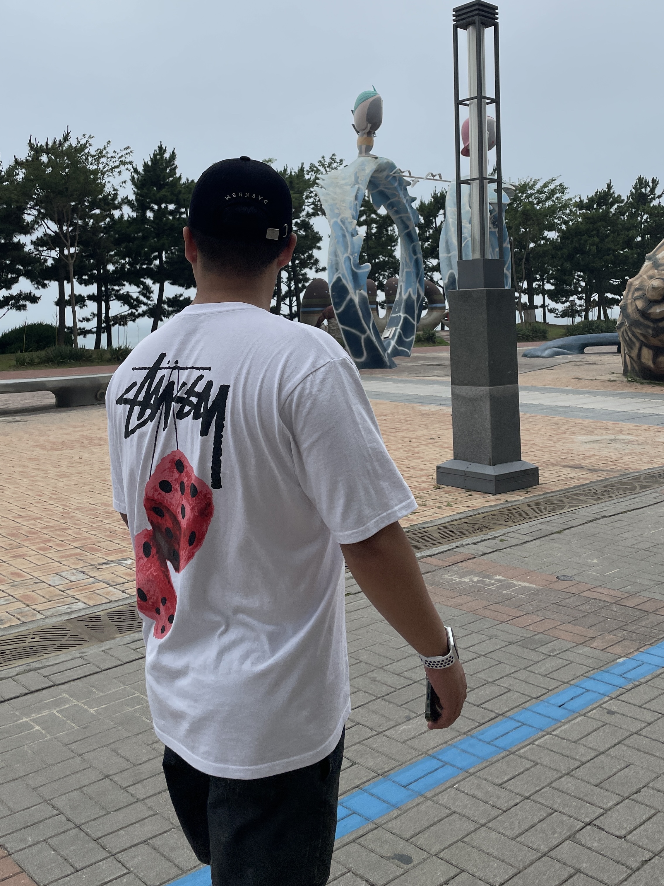 Stussy Fuzzy Dice T-Shirt White, Darkr8m Studio Upside Down Silver Logo Cap 착용 스타일