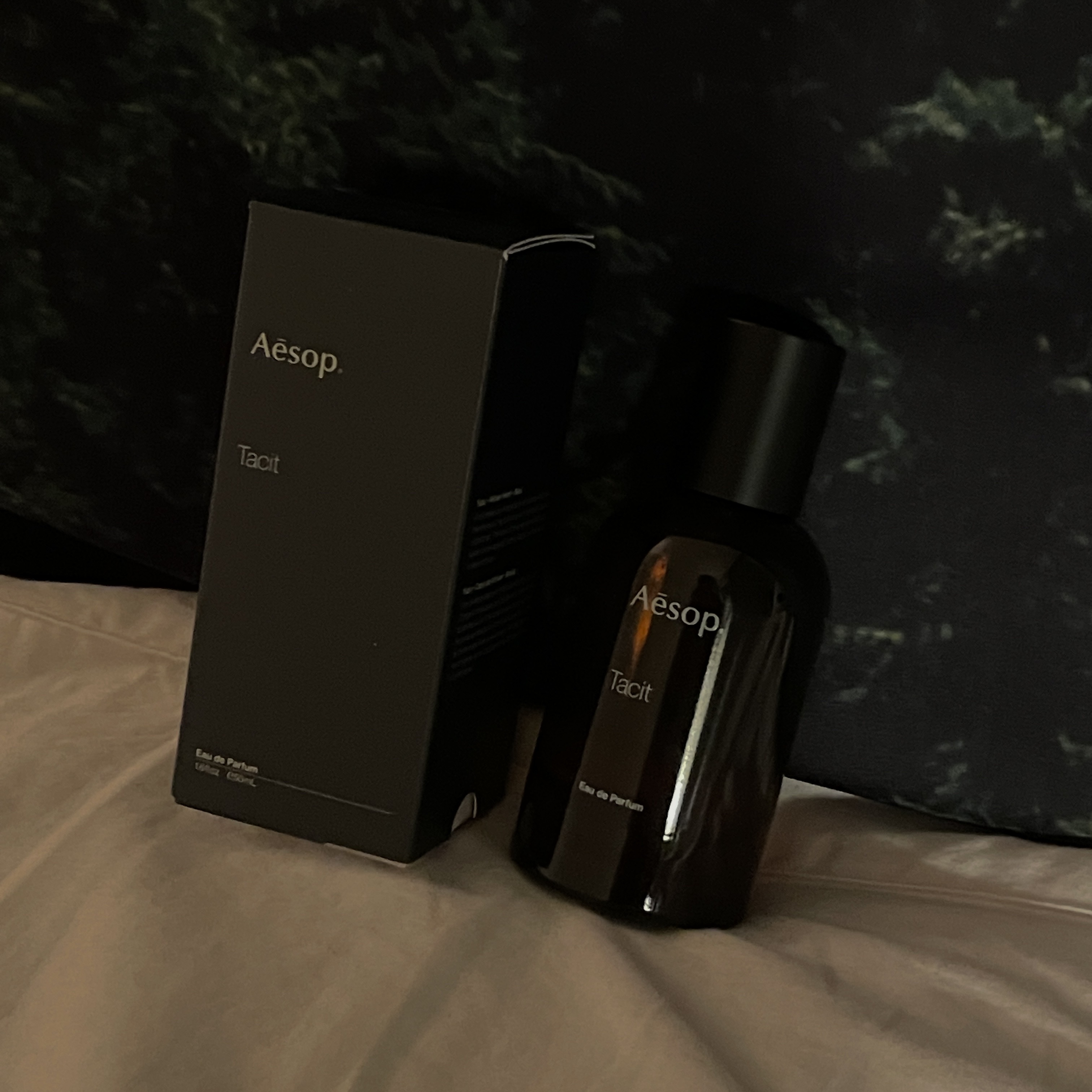 Aesop Tacit Eau De Parfum 50ml 착용 스타일
