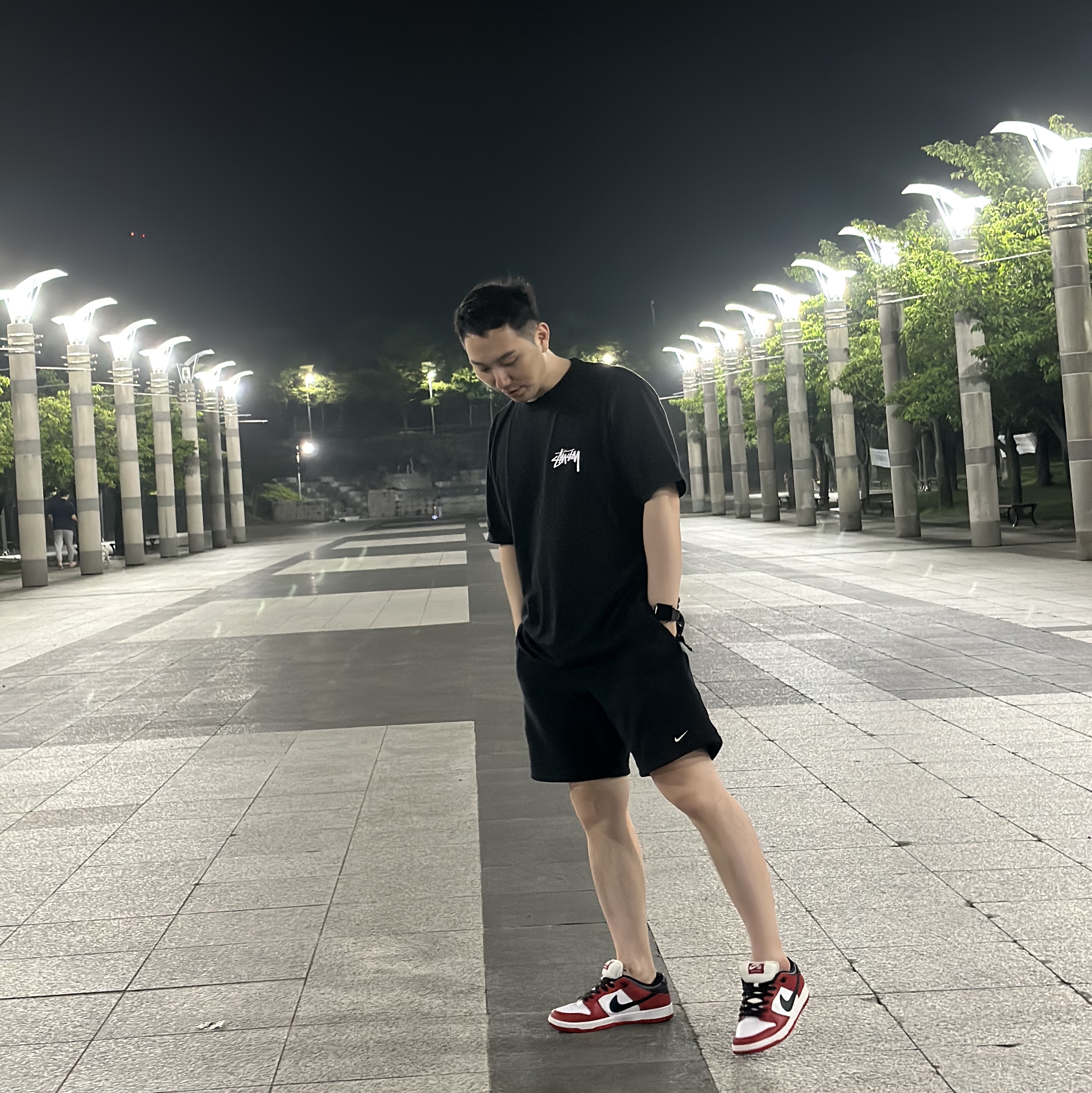 Stussy Plush T-Shirt Black, Nike SB Dunk Low Pro Chicago 착용 스타일 - 2