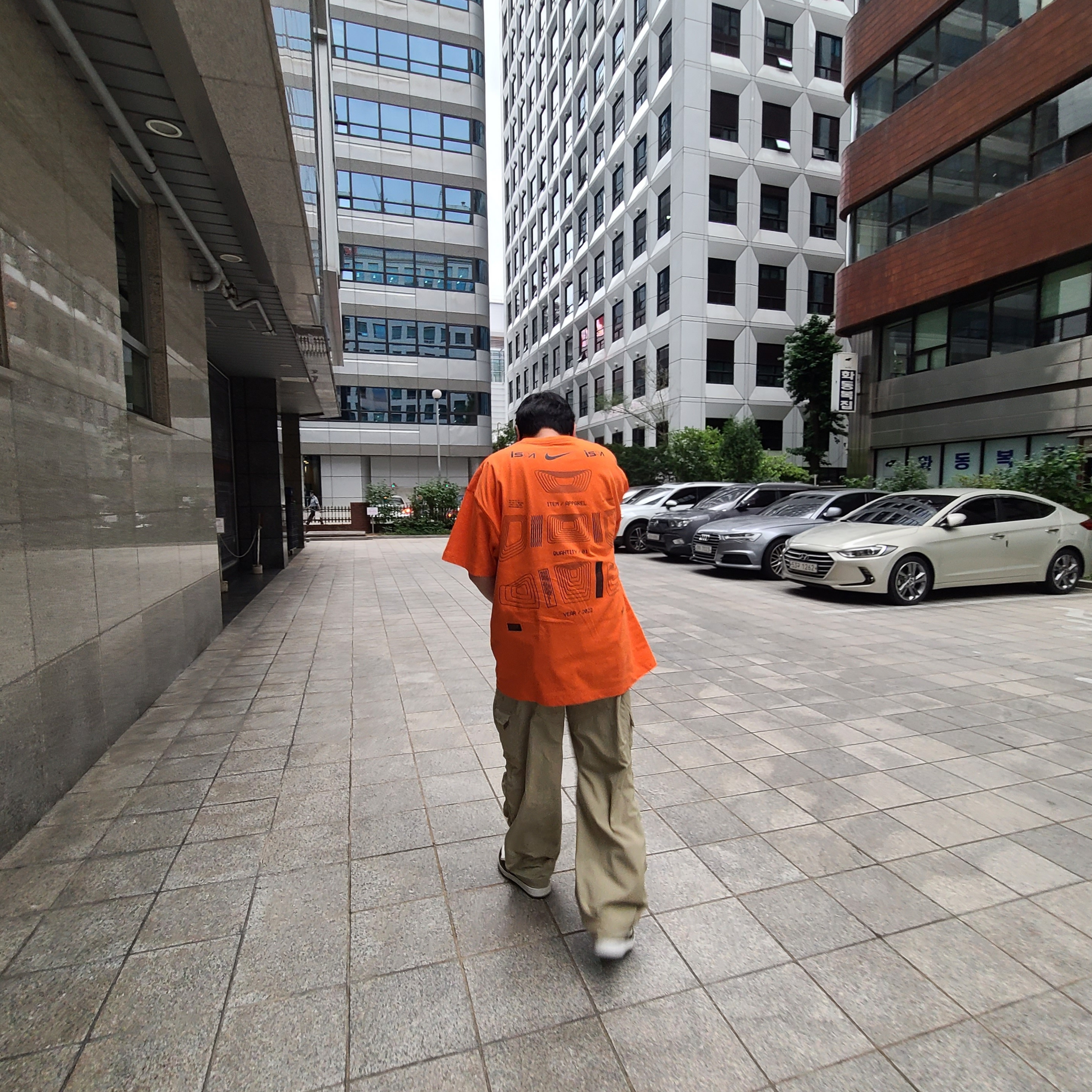 Nike NRG ISPA Graphic T-Shirt Orange, Nike ACG Oregon Series Cargo Pants Neutral Olive - US/EU 착용 스타일