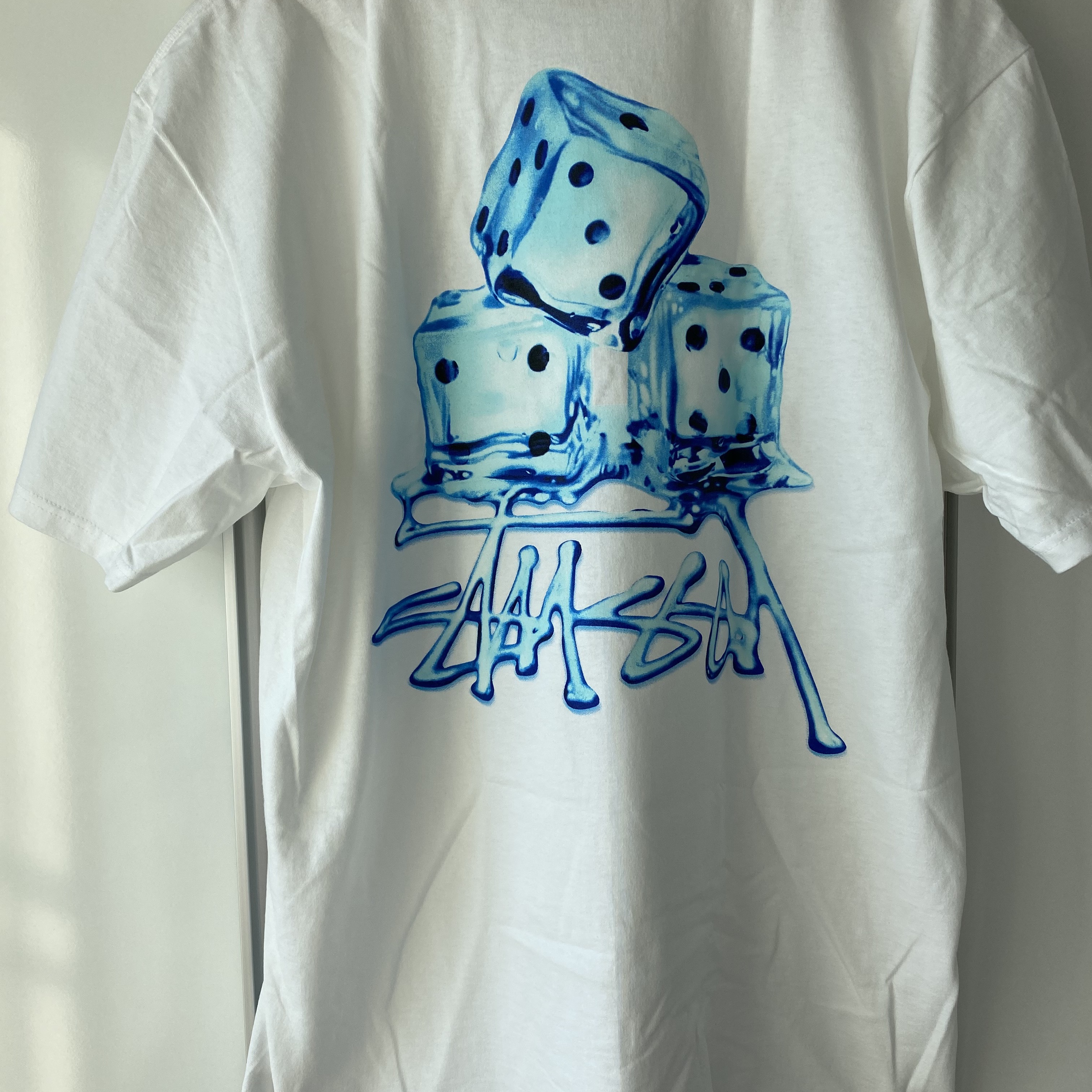 Stussy Melted T-Shirt White 착용 스타일