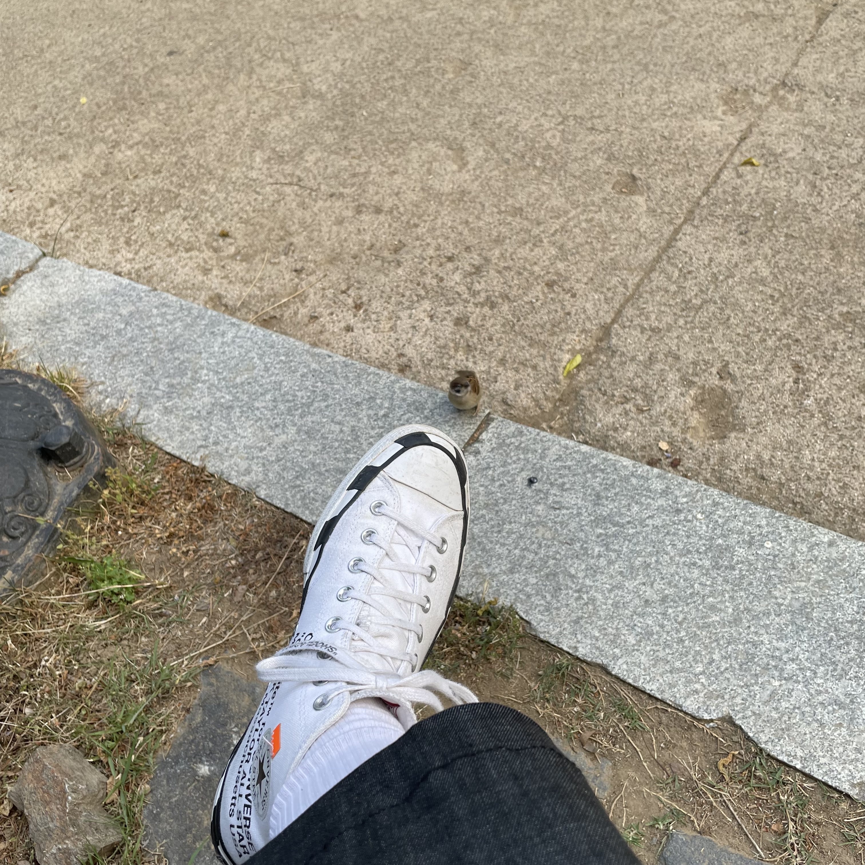 Converse x Off-White Chuck 70 High V2 2018 착용 스타일 - 4