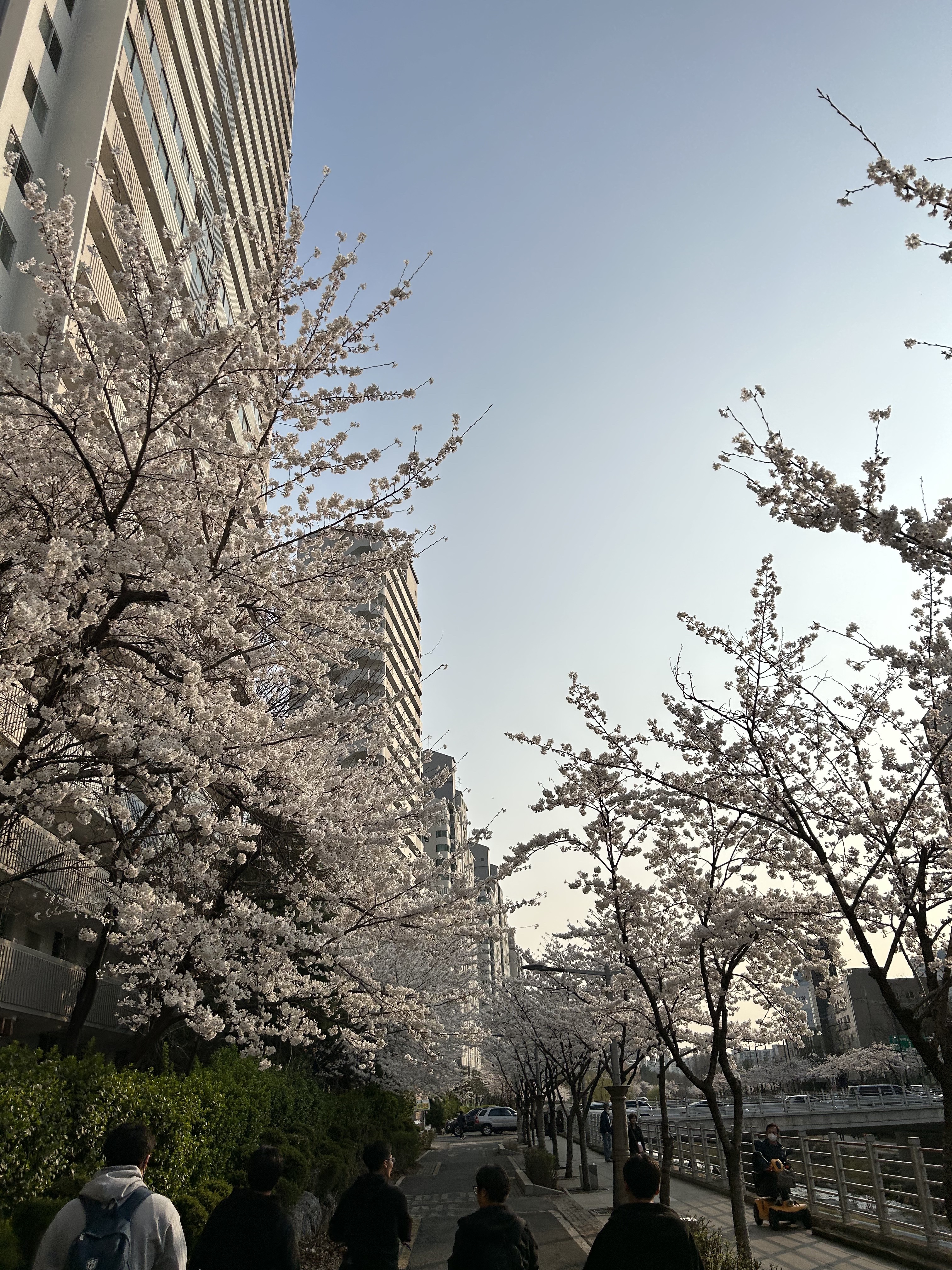 Andy님의 스타일 - 3