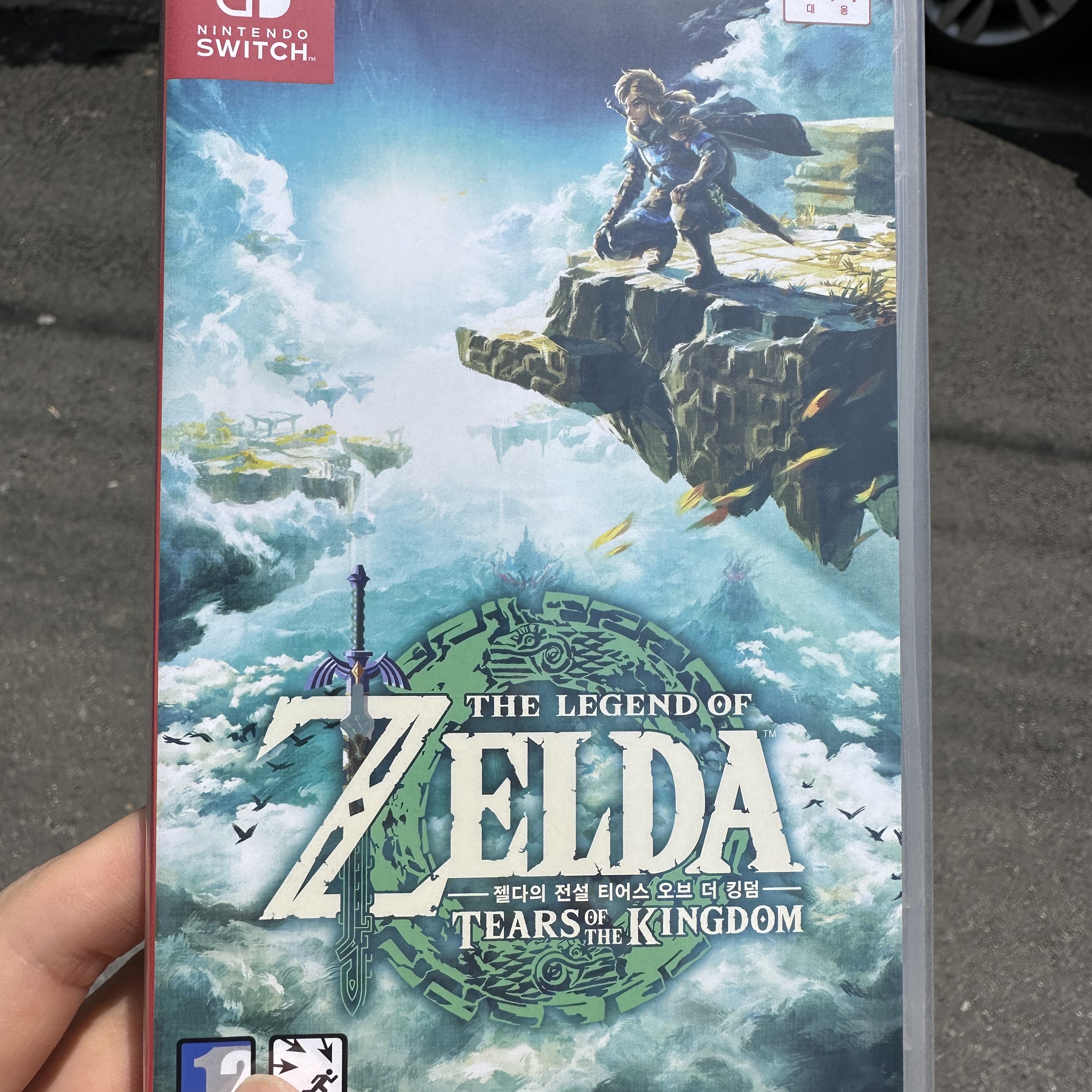 Nintendo Switch The Legend of Zelda Tears of The Kingdom (Korean Ver.) 착용 스타일