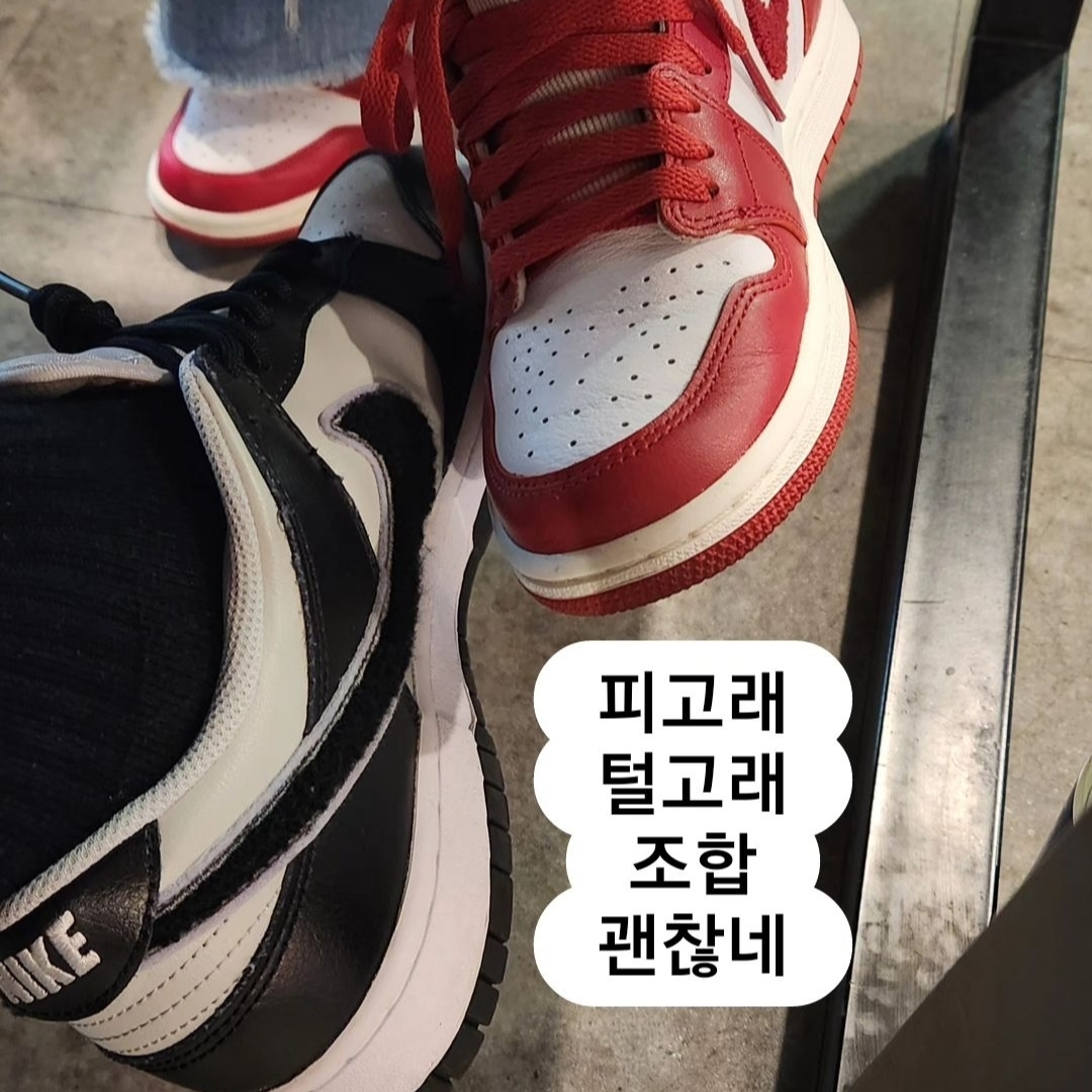 Nike Dunk Low Retro Grey Fog Black 착용 스타일
