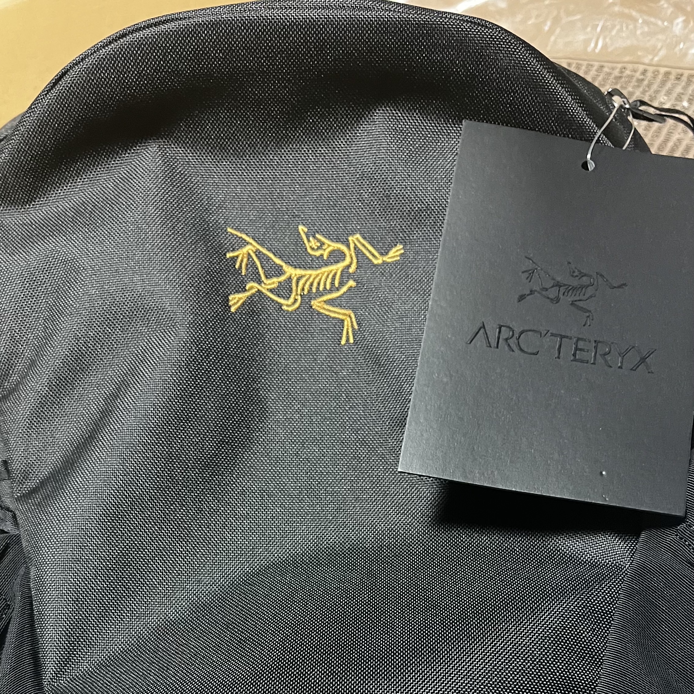 Arc'teryx Mantis 16 Backpack Black 착용 스타일