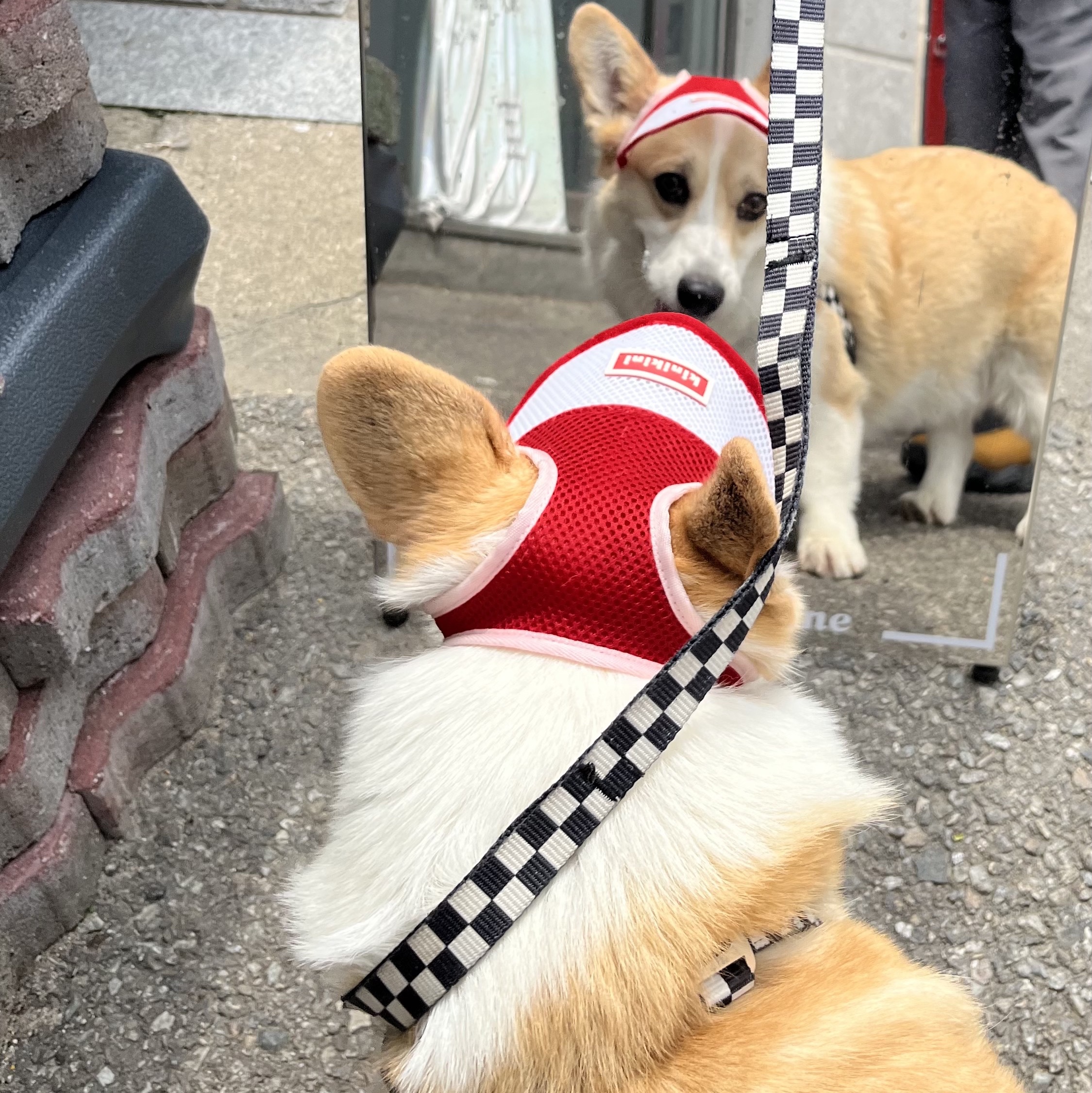 Oakley Factory Team x Brain Dead Jacquard Flesh Yellow Black 착용 스타일 - 2