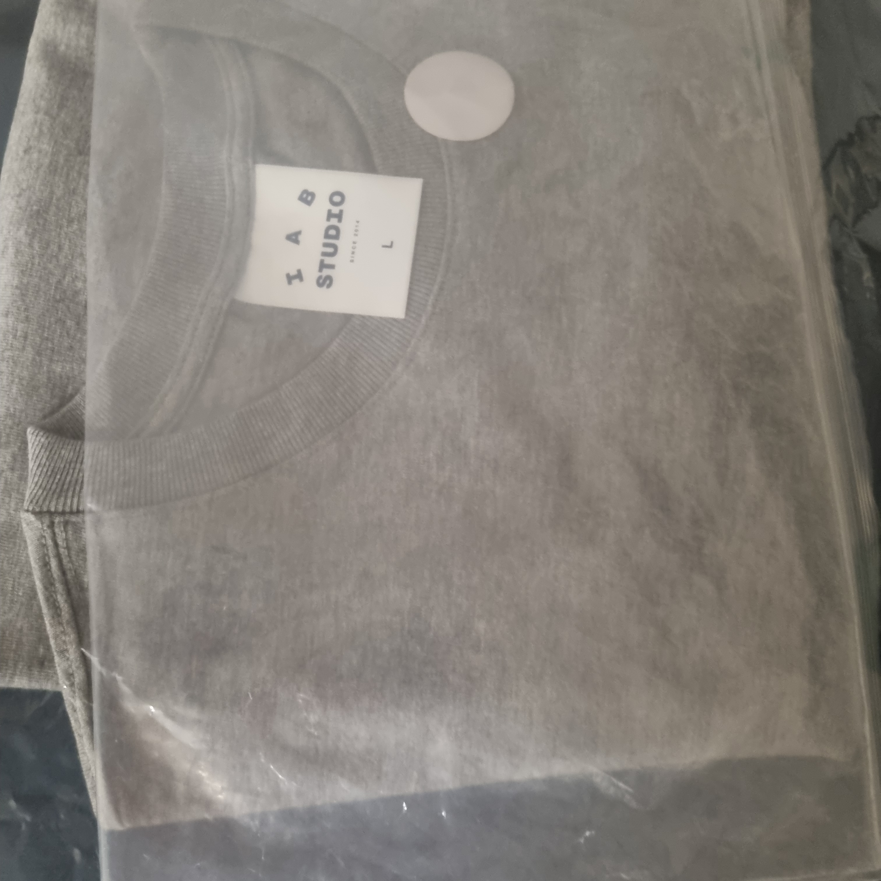 IAB Studio T-Shirt Gray Green - 22FW 착용 스타일