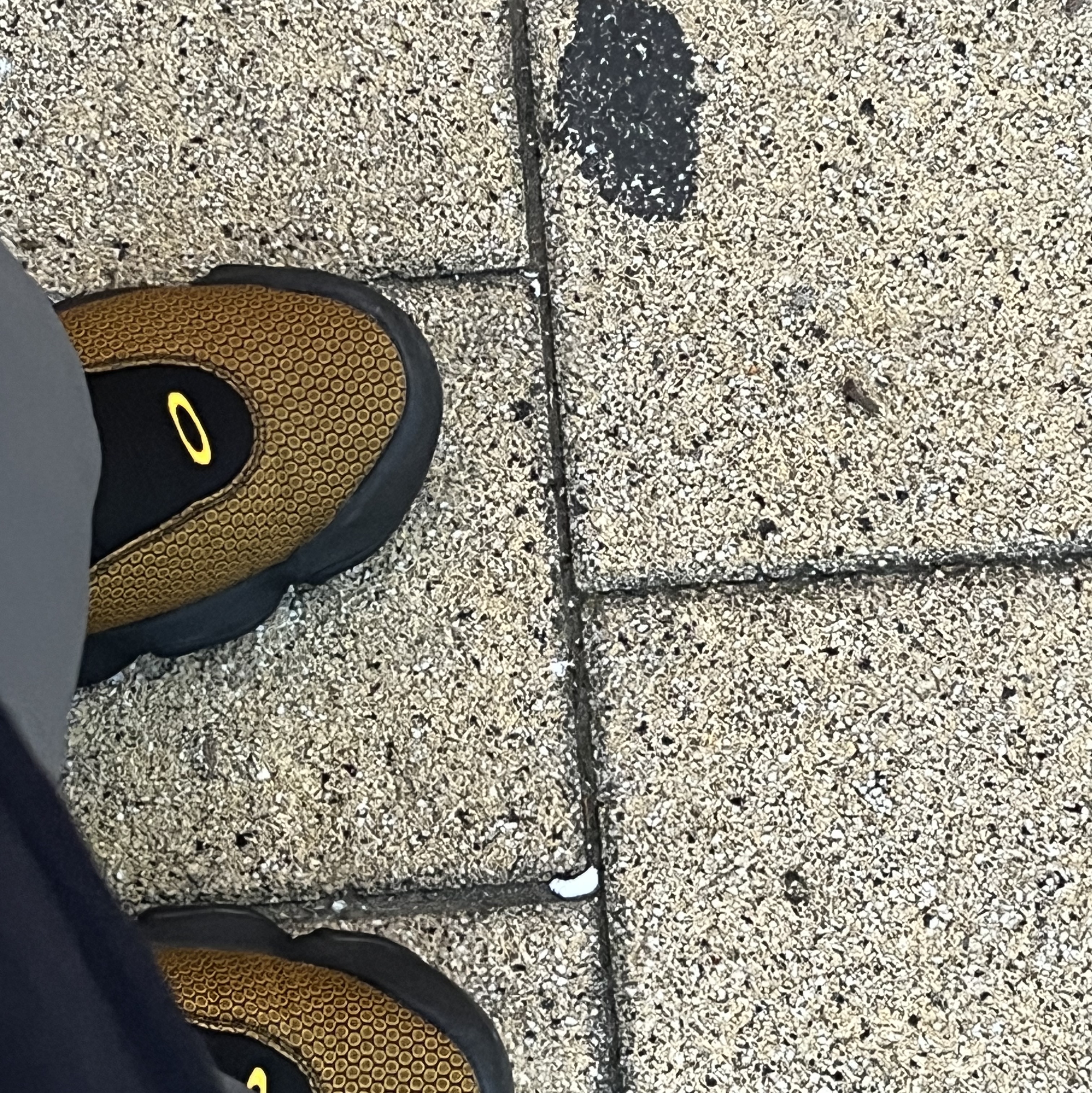 Oakley Factory Team x Brain Dead Jacquard Flesh Yellow Black 착용 스타일 - 1