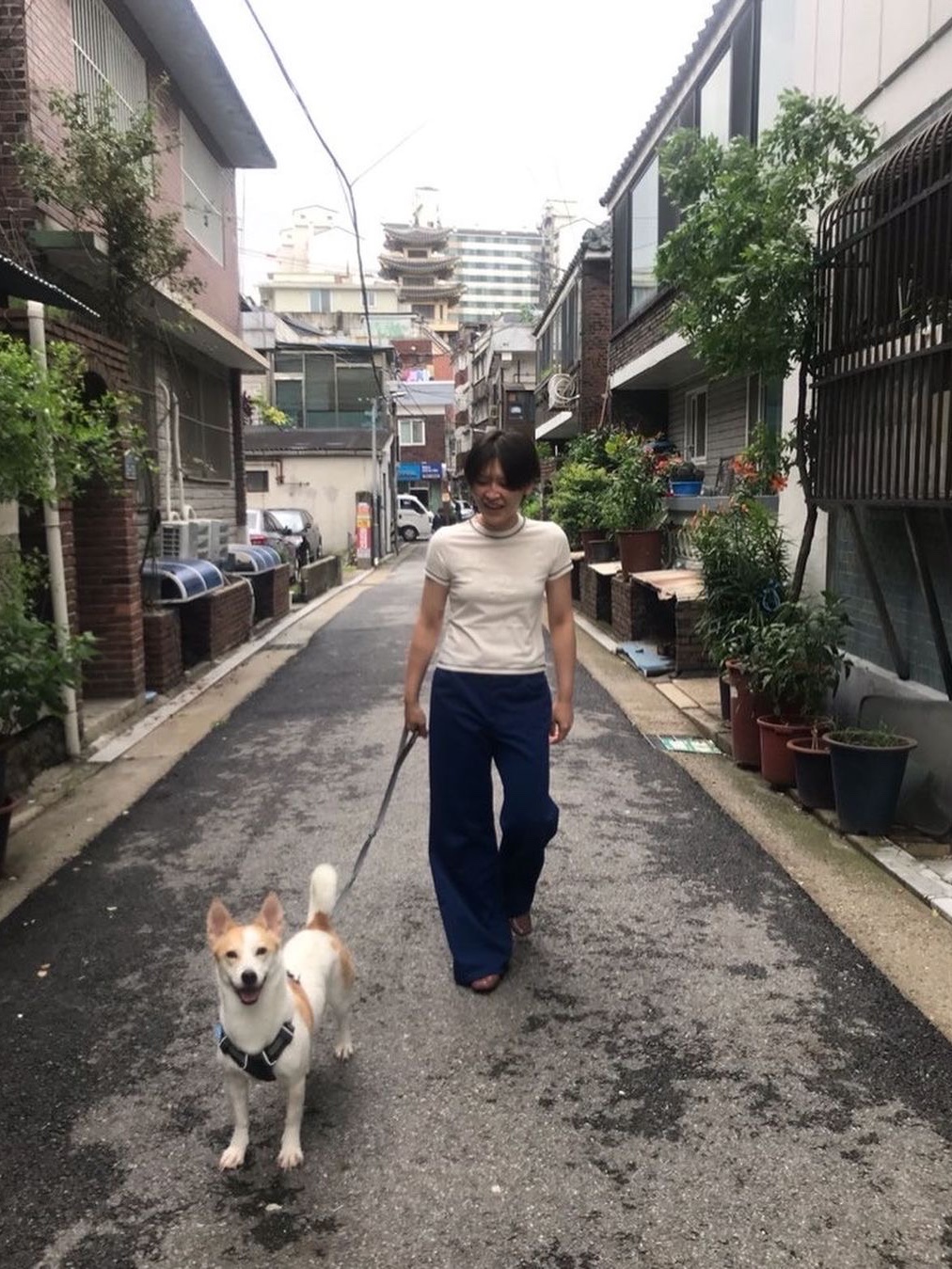 Safarispot Women 1/2 Flower Greige Tee Ivory 착용 스타일 - 2