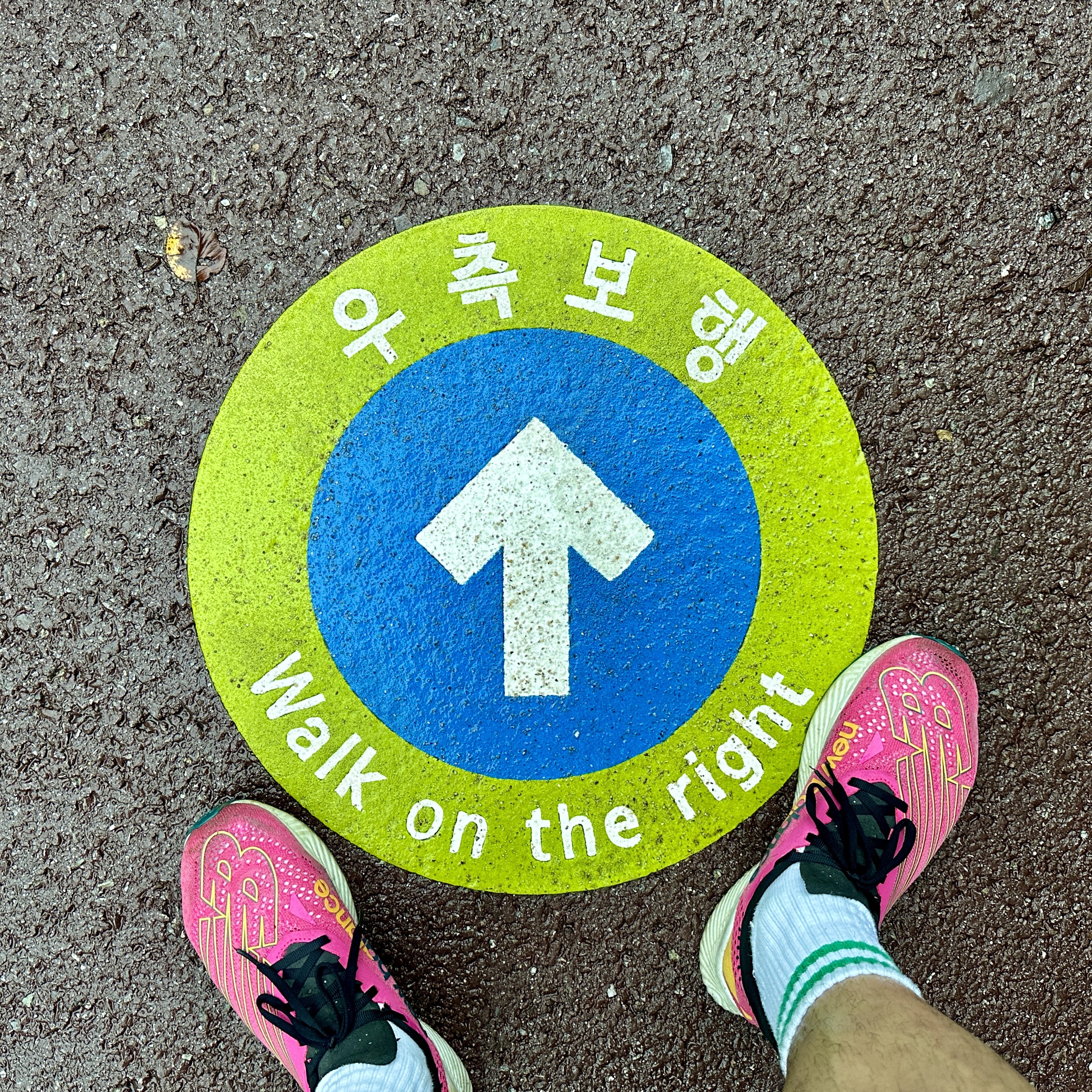 New Balance FuelCell RC Elite v2 Pink - D Standard 착용 스타일 - 1