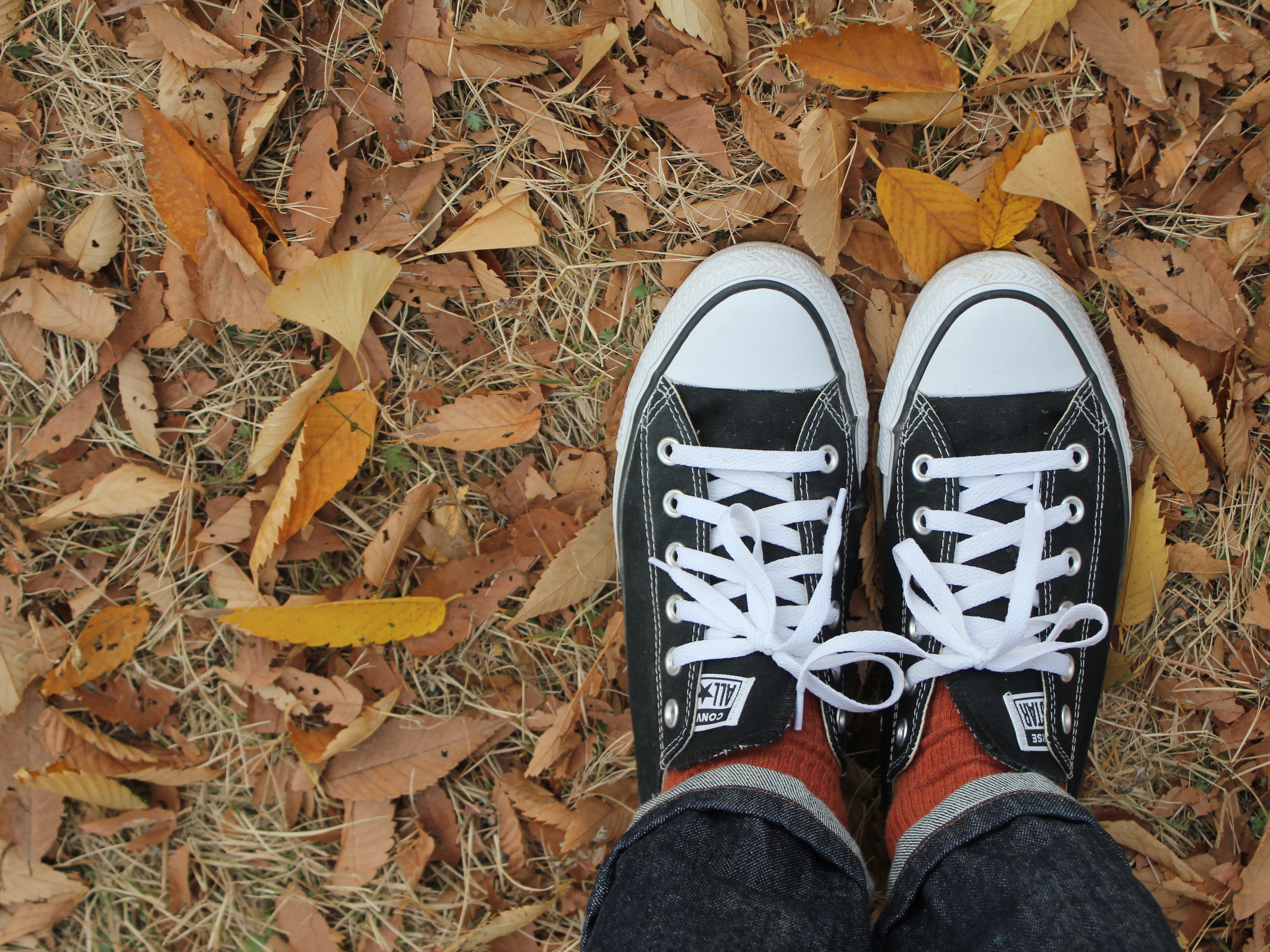 Converse Chuck Taylor All Star Ox Black 착용 스타일 - 2