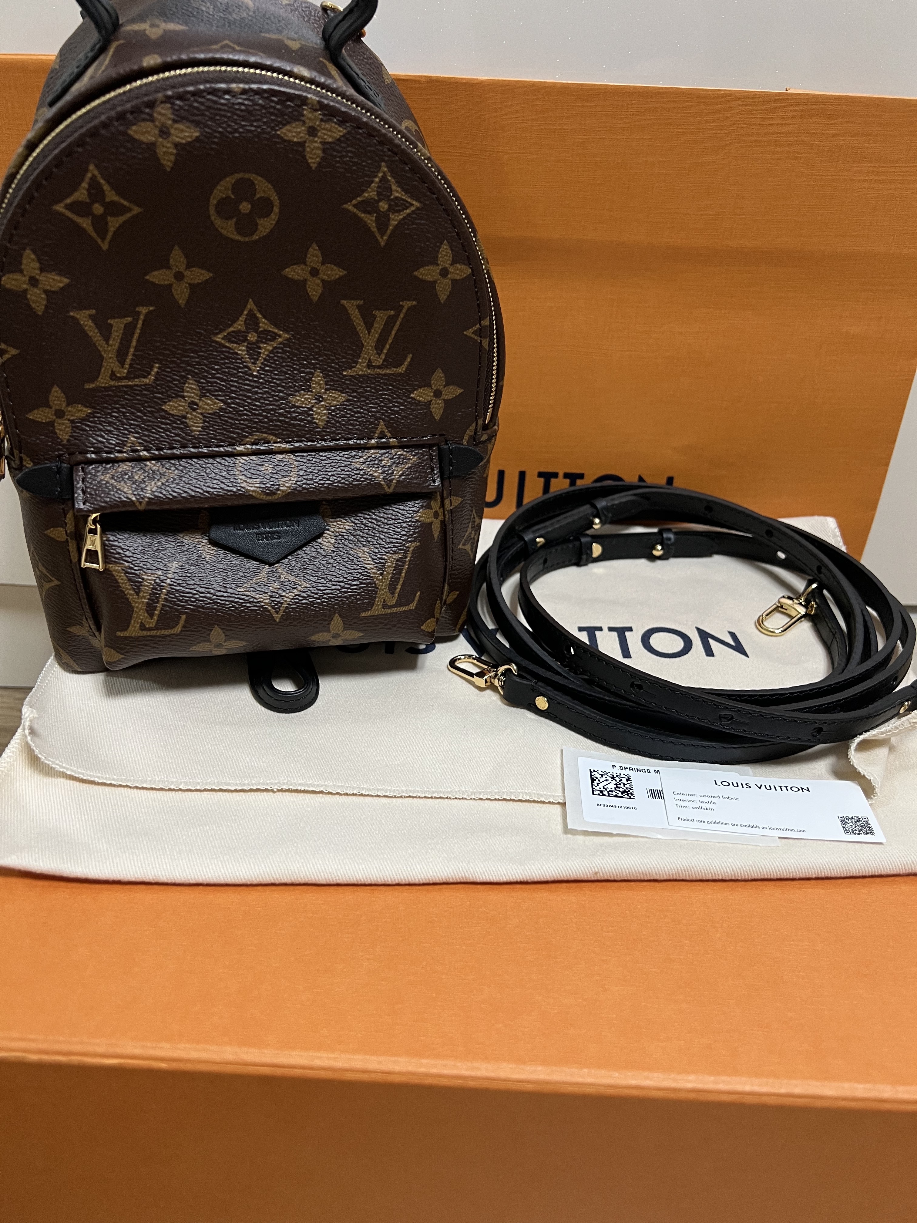 Louis Vuitton Palm Springs Mini Backpack Monogram 착용 스타일