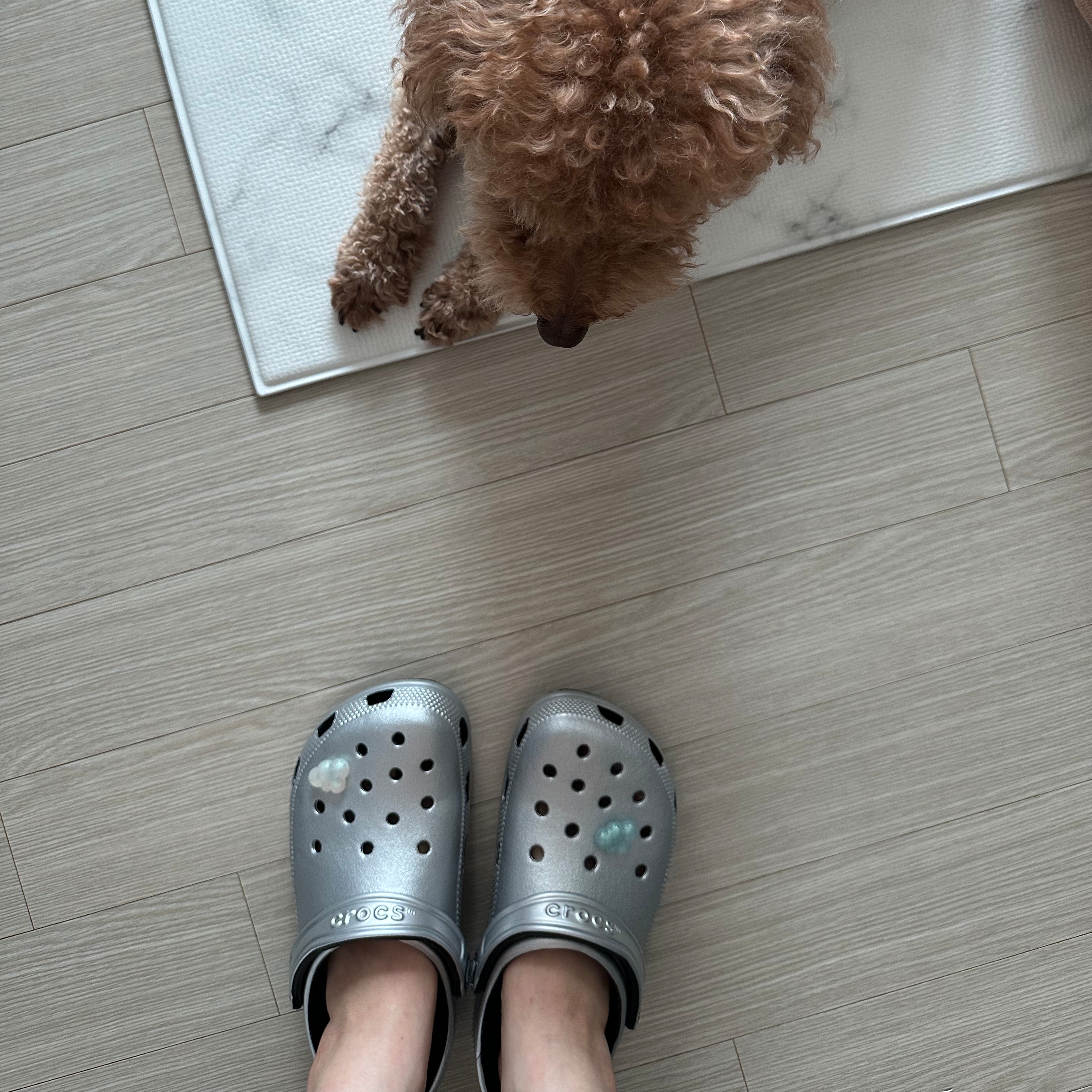 Crocs Classic Metallic Clog Silver 착용 스타일