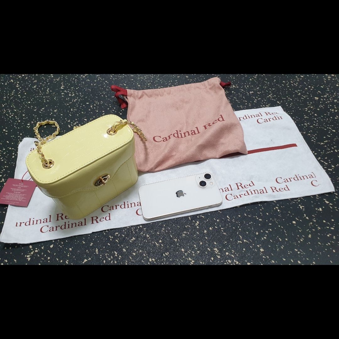 Cardinal Red Andy Bag Egg 착용 스타일 - 3