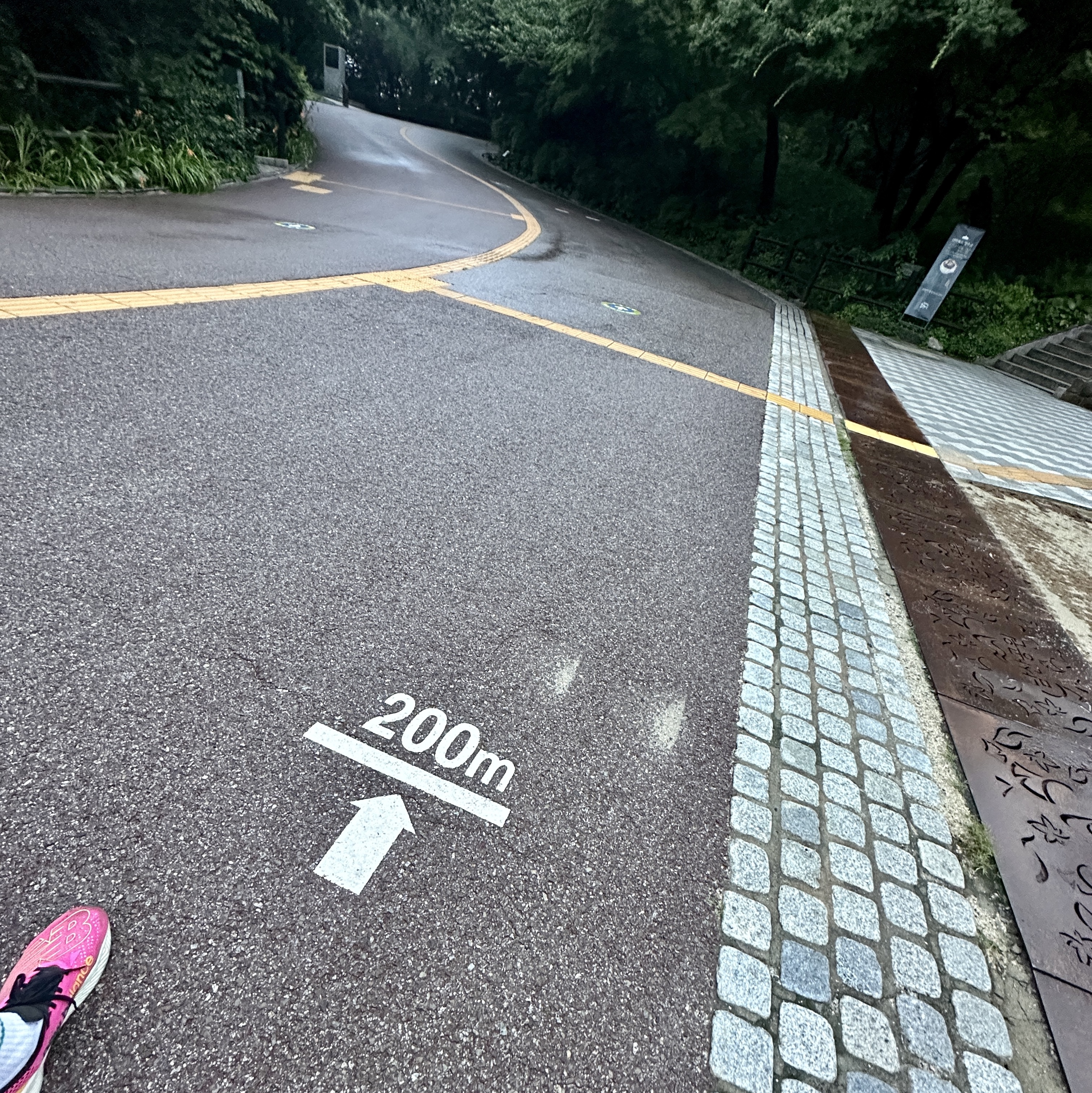 New Balance FuelCell RC Elite v2 Pink - D Standard 착용 스타일 - 2