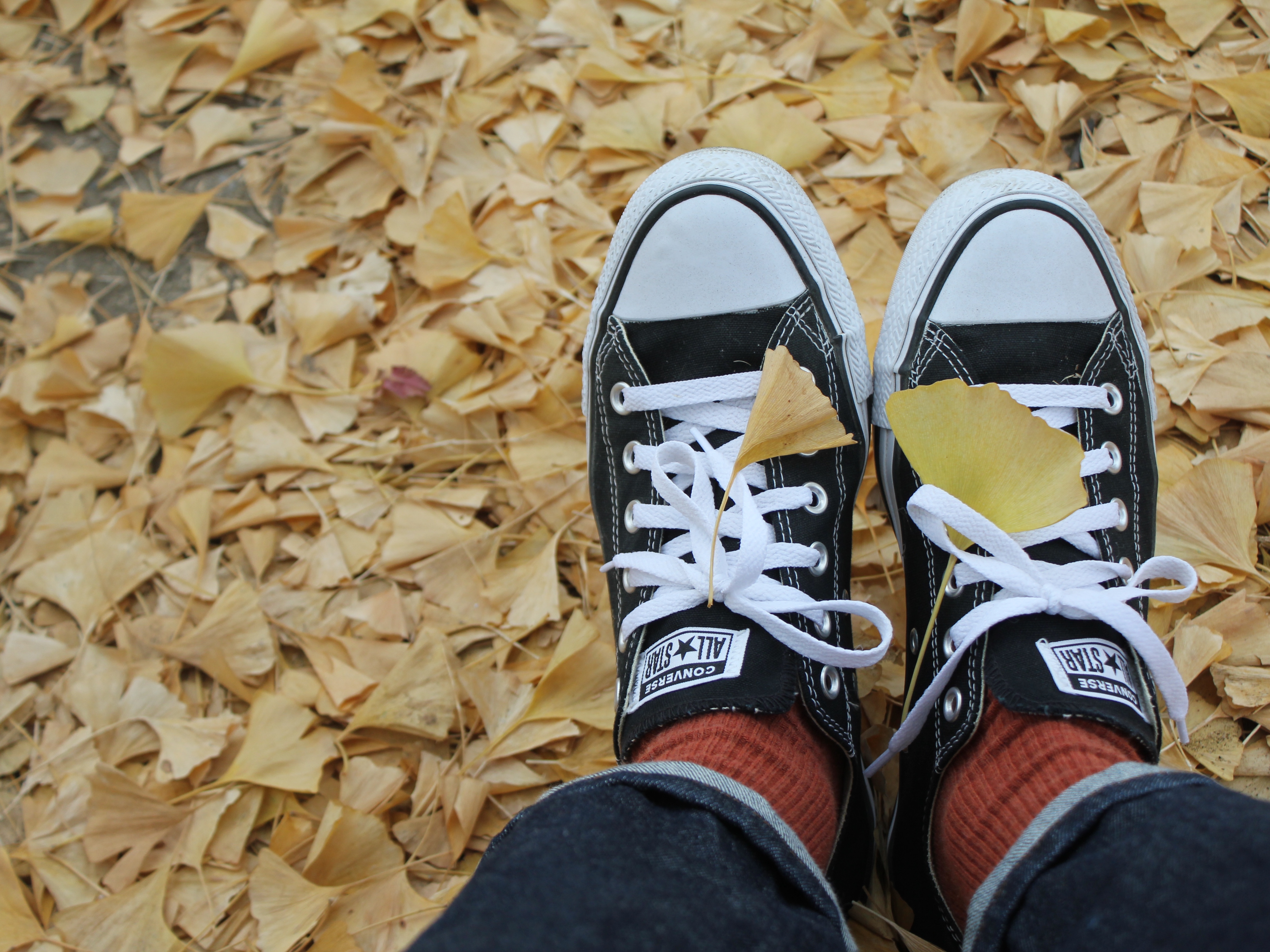 Converse Chuck Taylor All Star Ox Black 착용 스타일 - 1
