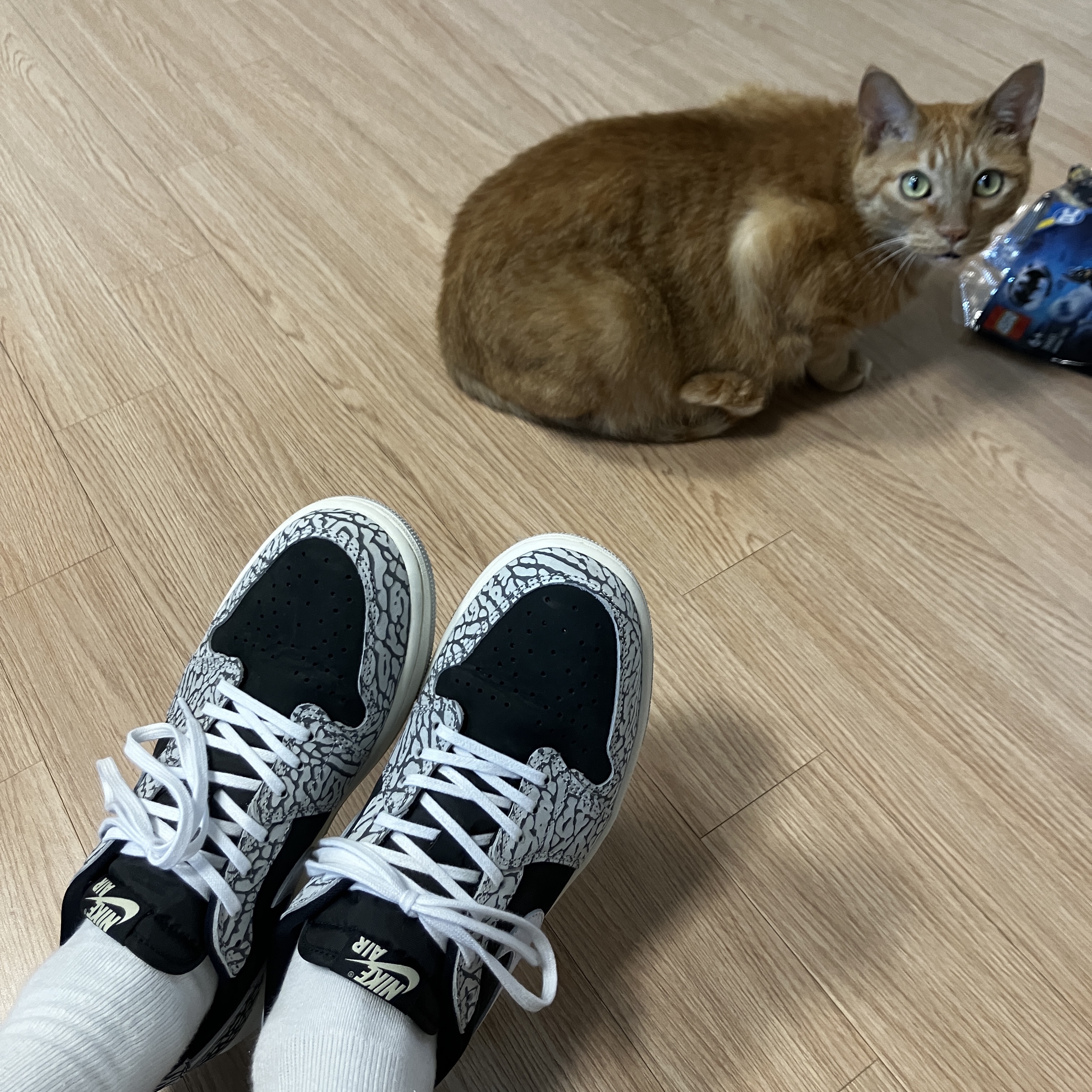 Jordan 1 Retro Low OG Black Cement 착용 스타일