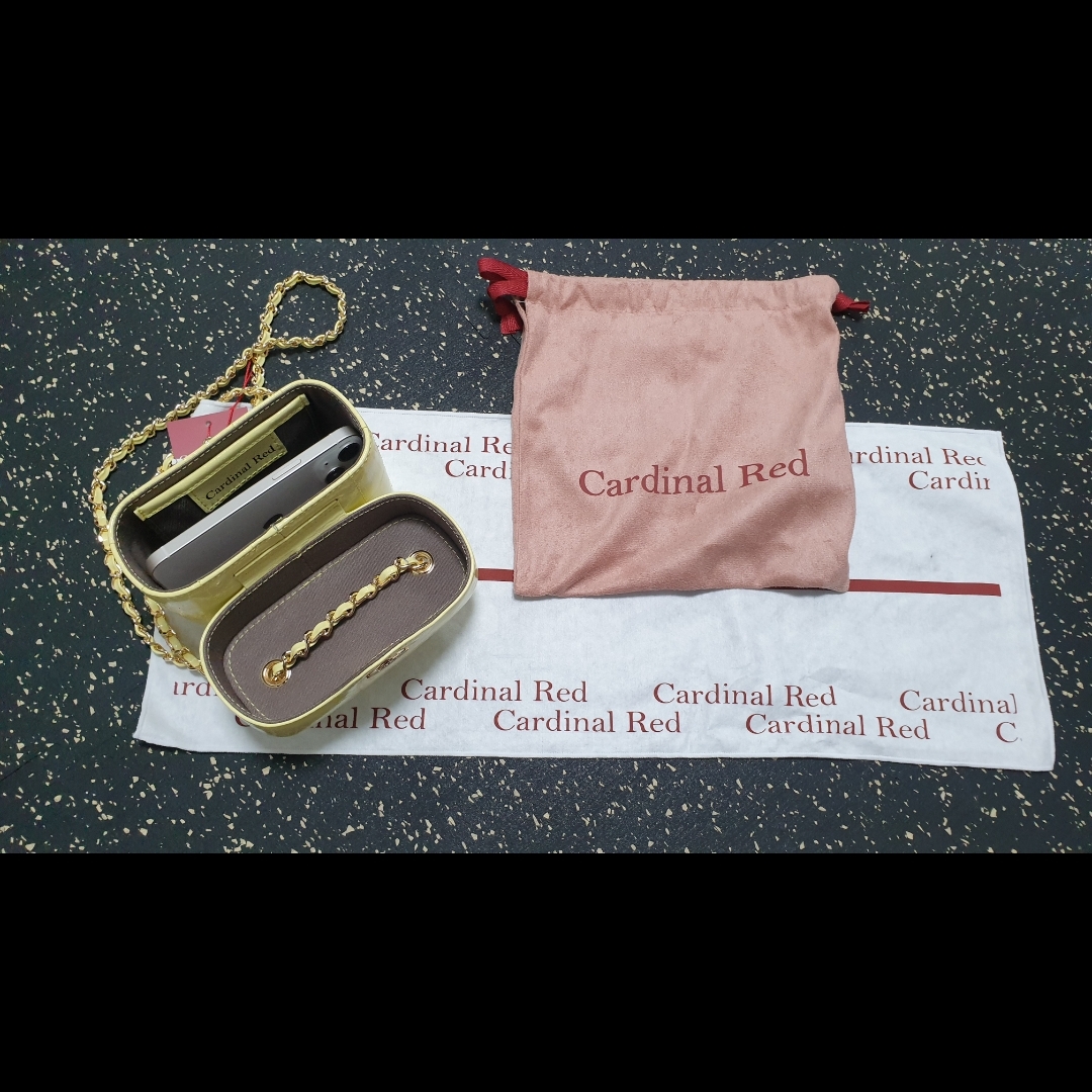 Cardinal Red Andy Bag Egg 착용 스타일 - 2