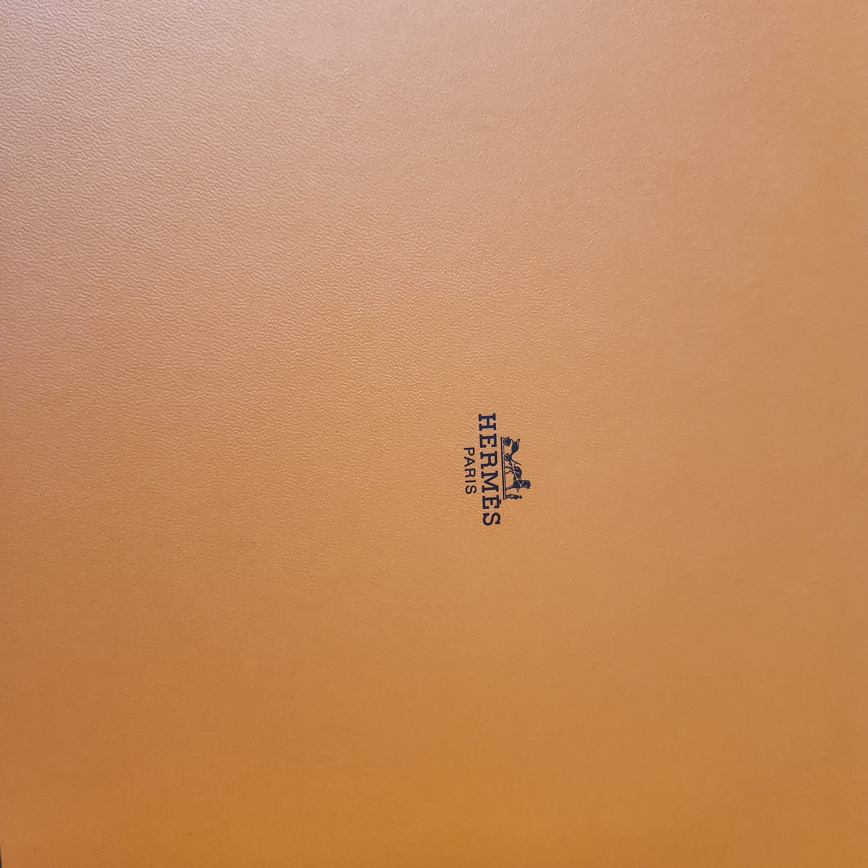 (W) Hermes Oran Sandal Calfskin & Gold Piqures Ecrues 착용 스타일